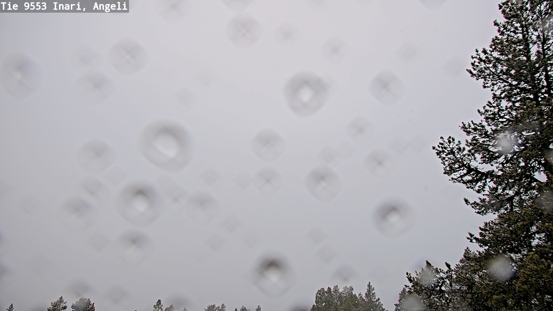 Kelikamerat Kuva Tie 9553 Inari, Angeli, Lintupuolivaara, Inari, Lappi