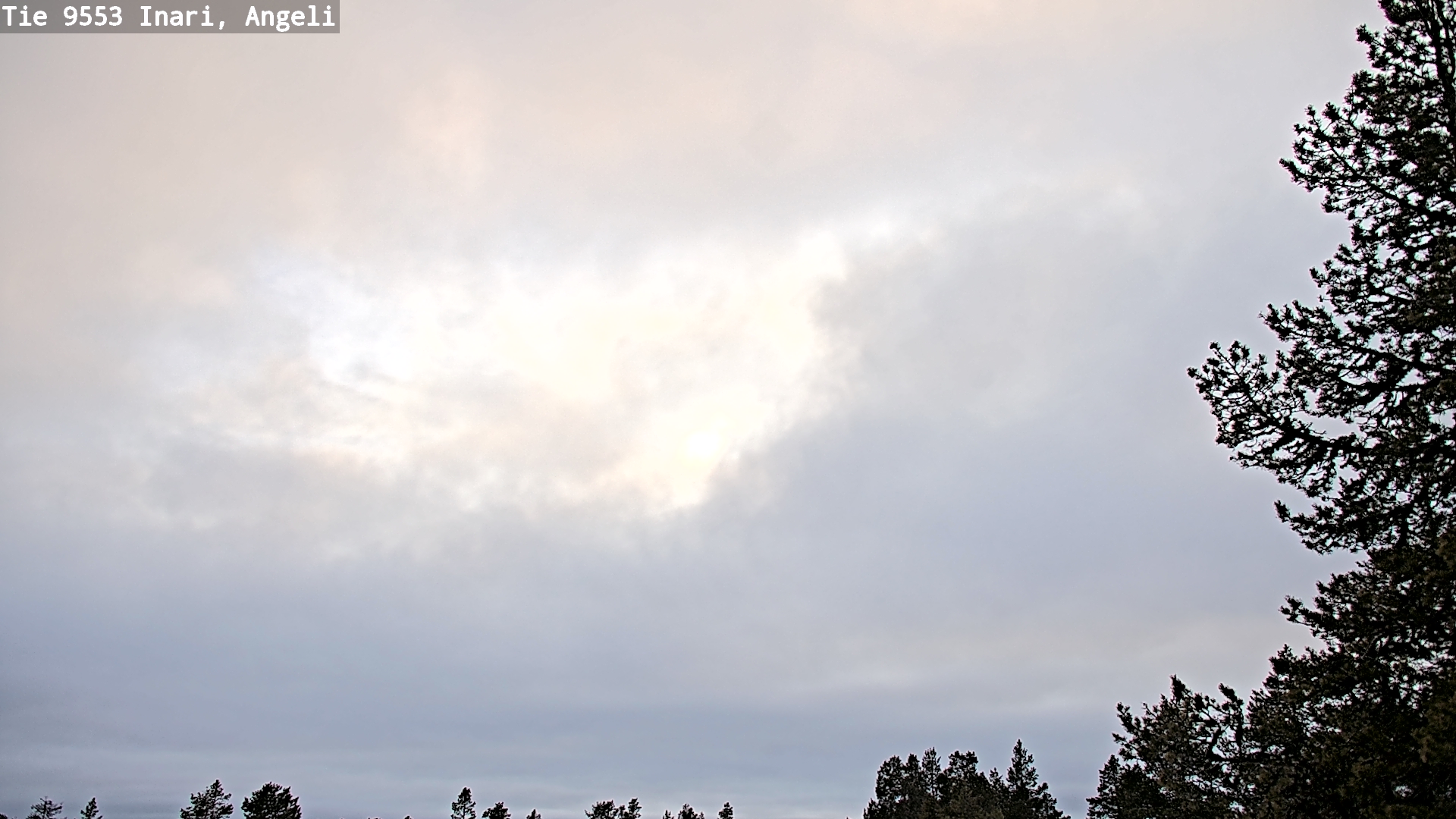 Kelikamerat Kuva Tie 9553 Inari, Angeli, Lintupuolivaara, Inari, Lappi