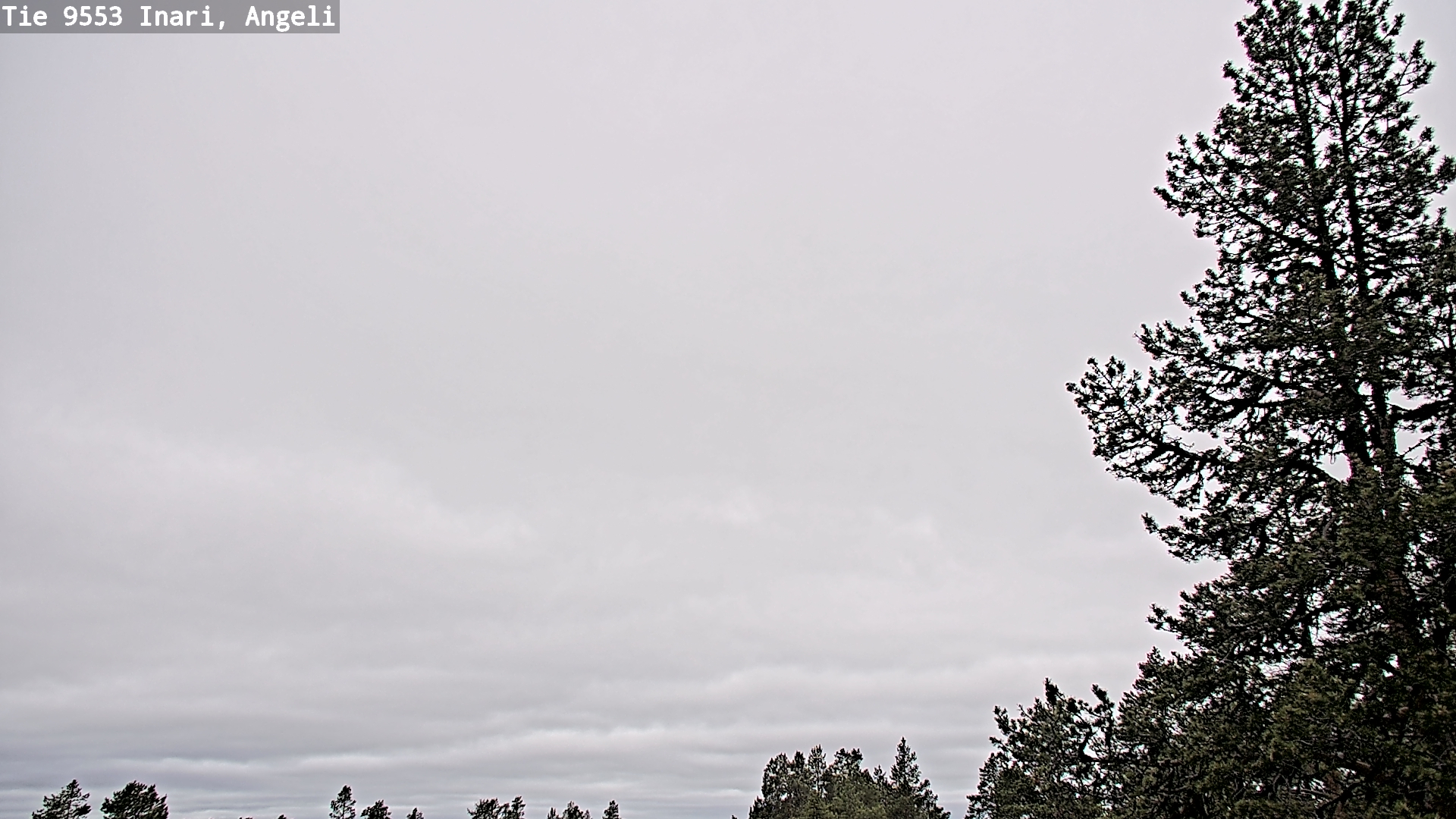 Weather Camera Image Väg 9553 Inari, Angeli, Lintupuolivaara, Inari, Lappi