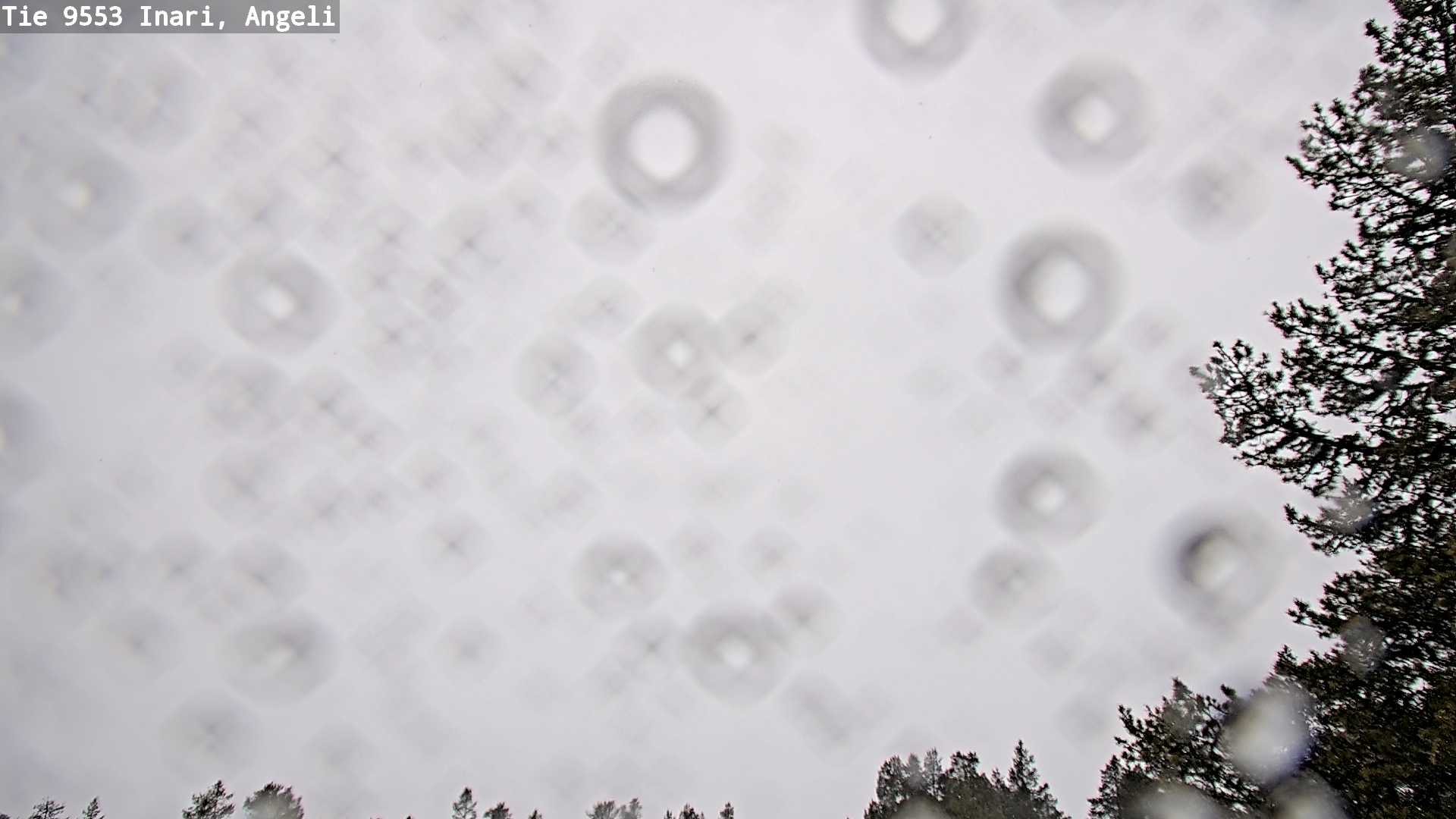 Kelikamerat Kuva Tie 9553 Inari, Angeli, Lintupuolivaara, Inari, Lappi