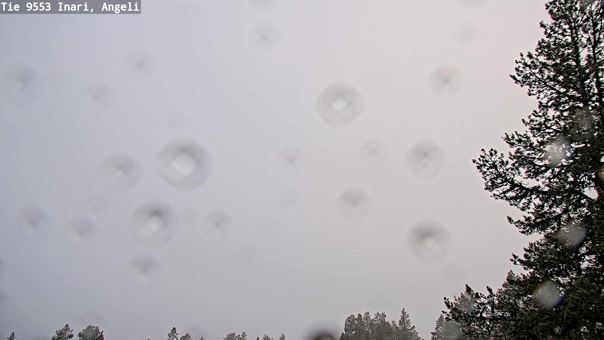 Kelikamerat Kuva Tie 9553 Inari, Angeli, Lintupuolivaara, Inari, Lappi