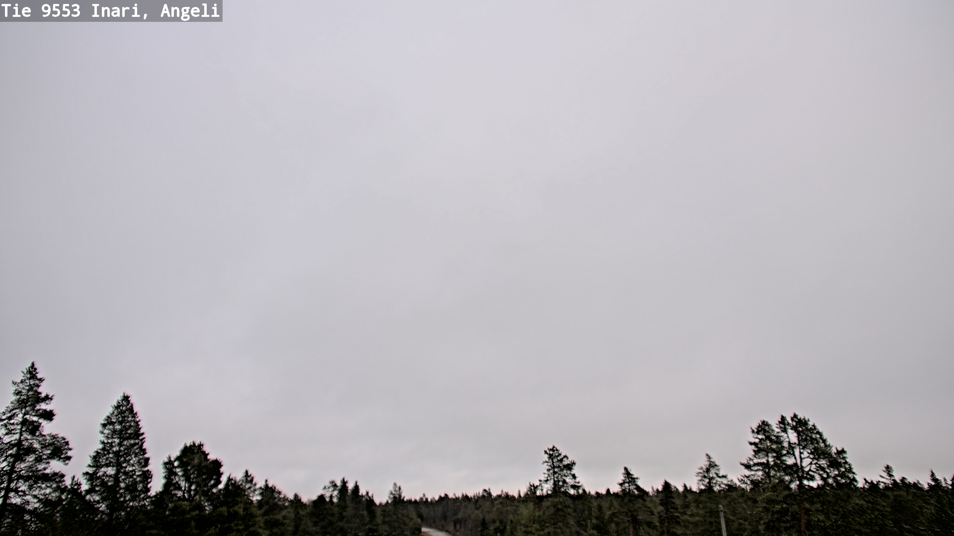 Weather Camera Image Road 9553 Inari, Angeli, Lintupuolivaara, Inari, Lappi