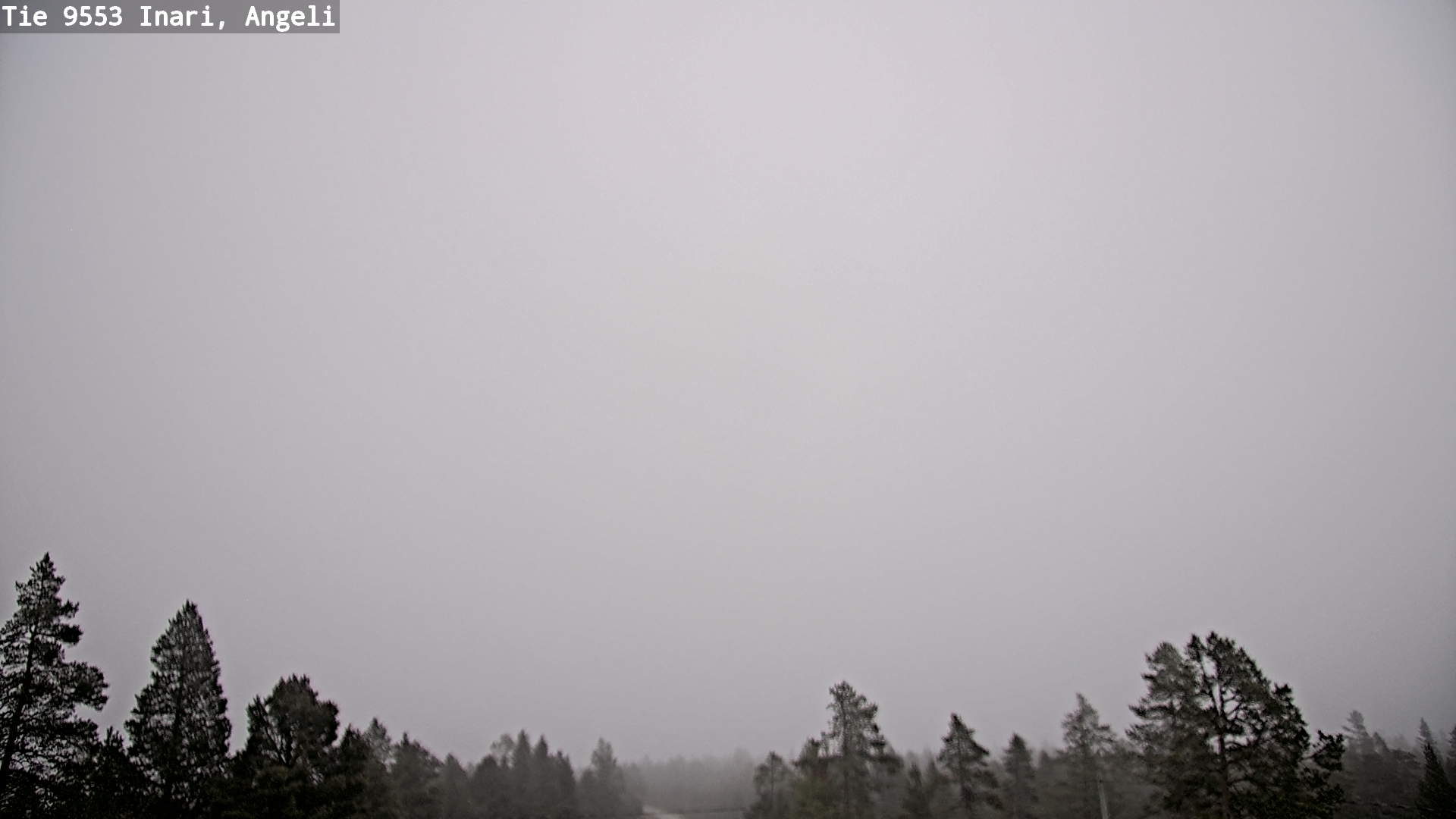 Kelikamerat Kuva Tie 9553 Inari, Angeli, Lintupuolivaara, Inari, Lappi