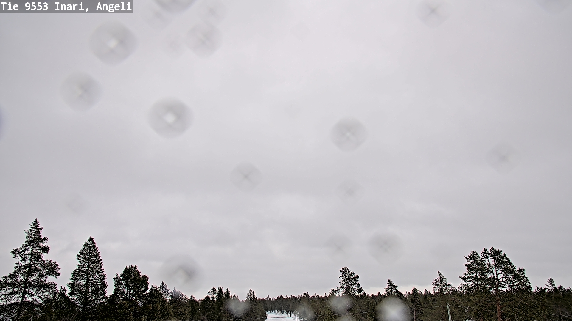 Kelikamerat Kuva Tie 9553 Inari, Angeli, Lintupuolivaara, Inari, Lappi