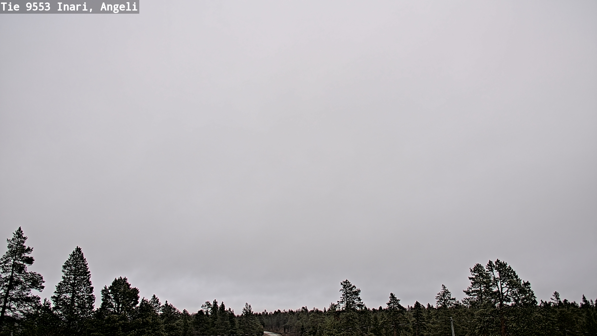 Weather Camera Image Road 9553 Inari, Angeli, Lintupuolivaara, Inari, Lappi