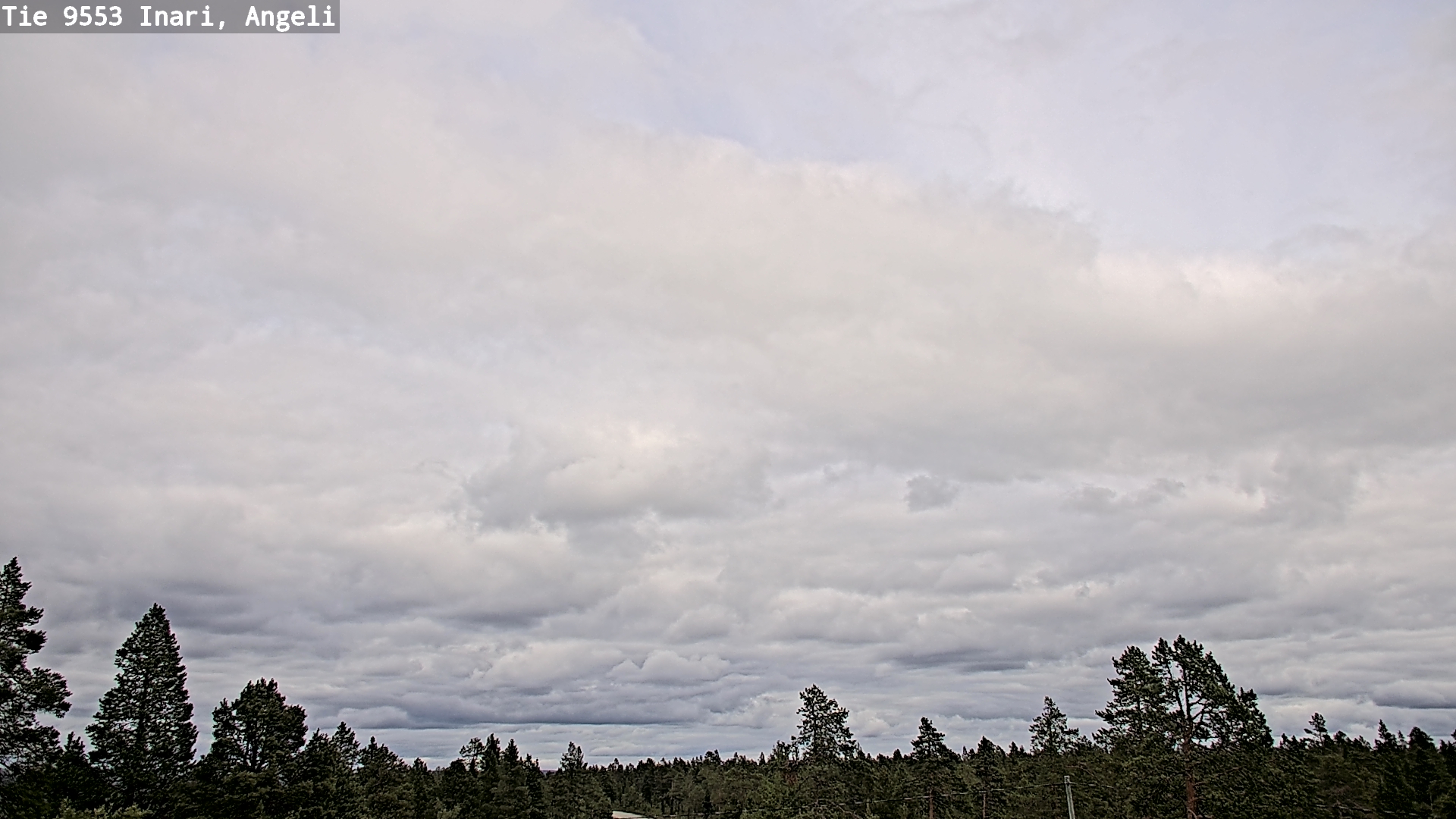 Kelikamerat Kuva Tie 9553 Inari, Angeli, Lintupuolivaara, Inari, Lappi