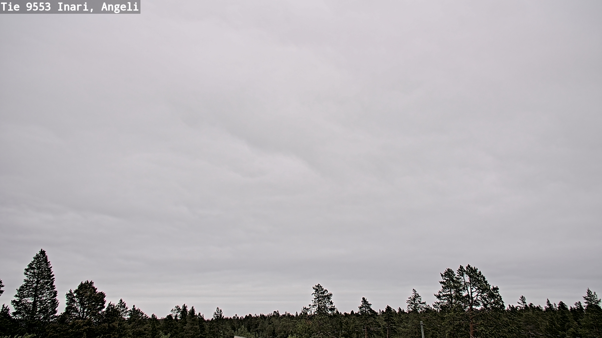 Weather Camera Image Road 9553 Inari, Angeli, Lintupuolivaara, Inari, Lappi