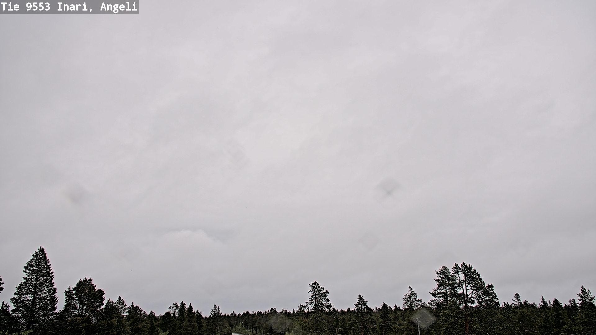 Weather Camera Image Väg 9553 Inari, Angeli, Lintupuolivaara, Inari, Lappi