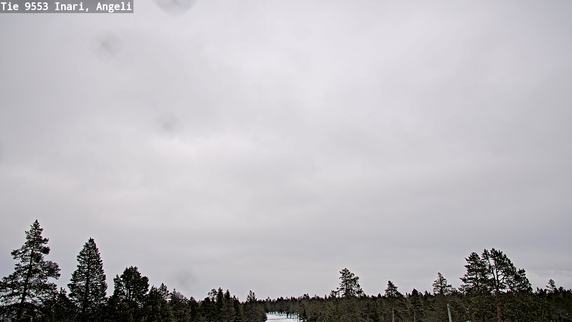 Kelikamerat Kuva Tie 9553 Inari, Angeli, Lintupuolivaara, Inari, Lappi