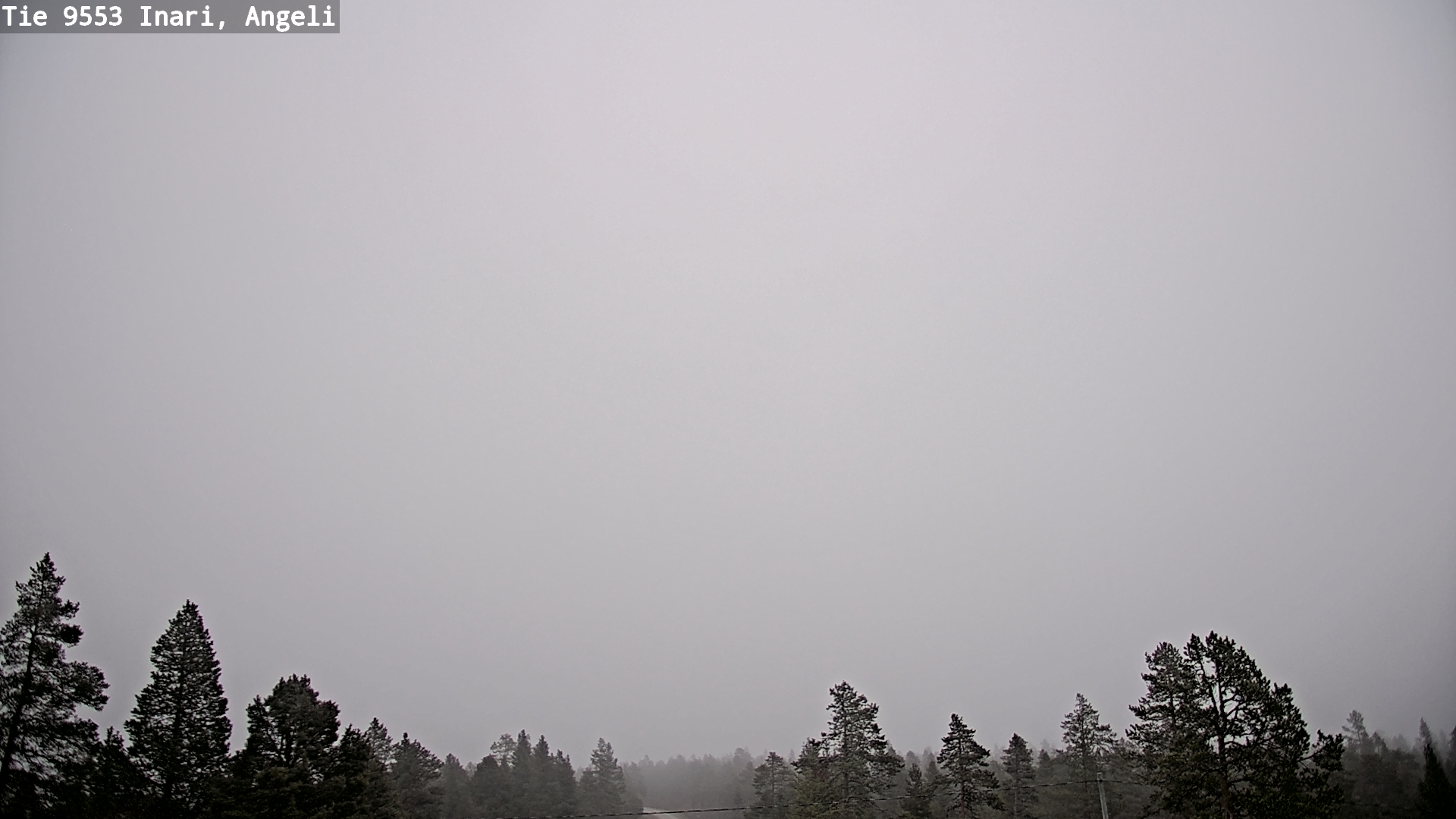 Kelikamerat Kuva Tie 9553 Inari, Angeli, Lintupuolivaara, Inari, Lappi