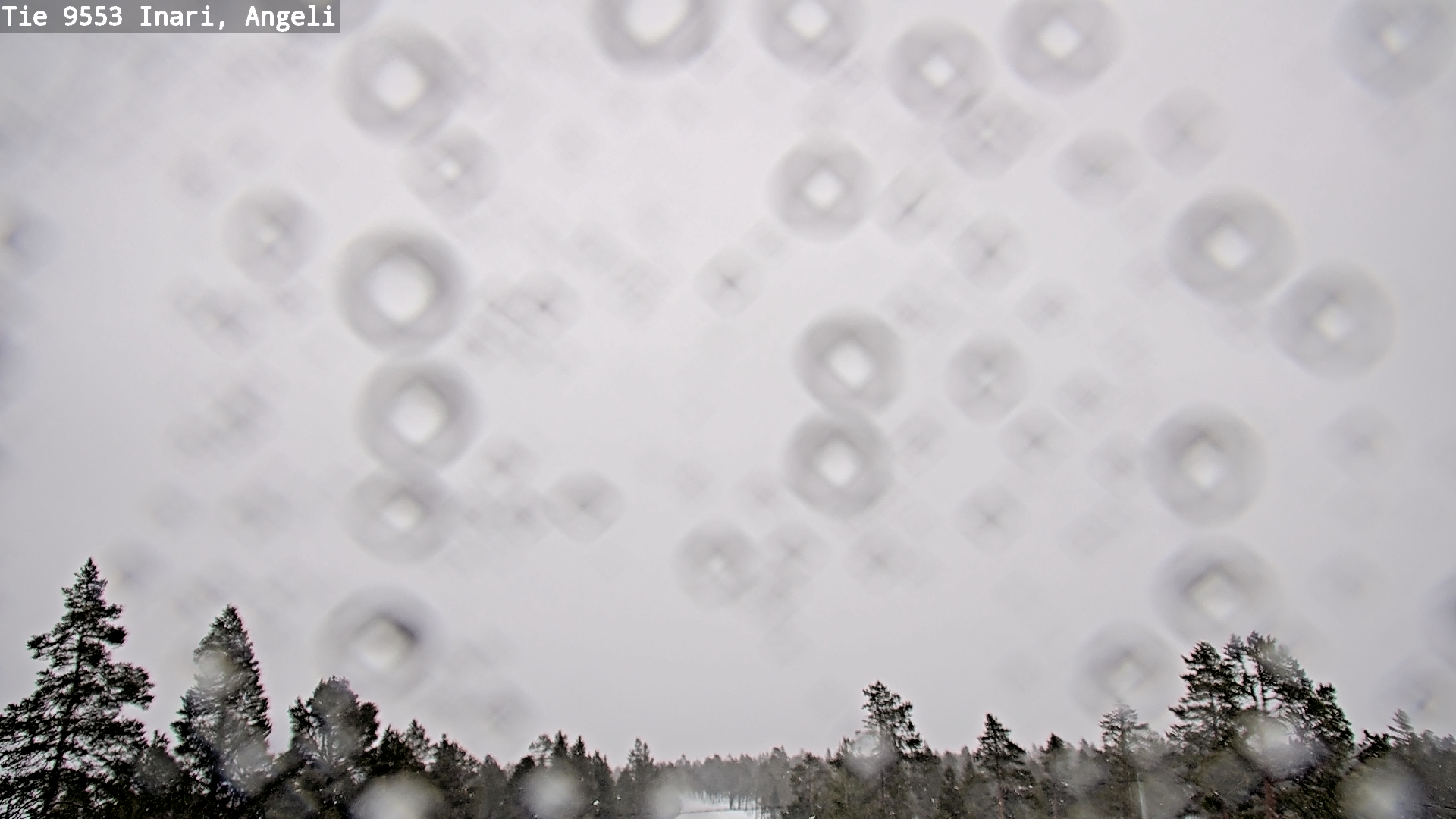 Kelikamerat Kuva Tie 9553 Inari, Angeli, Lintupuolivaara, Inari, Lappi