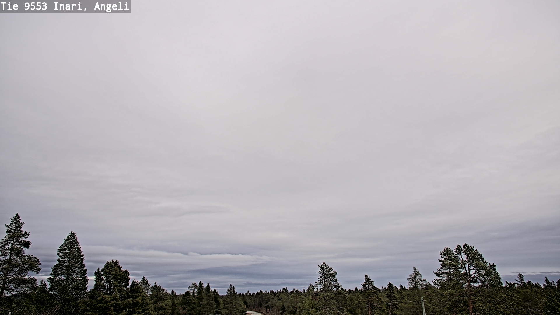 Kelikamerat Kuva Tie 9553 Inari, Angeli, Lintupuolivaara, Inari, Lappi