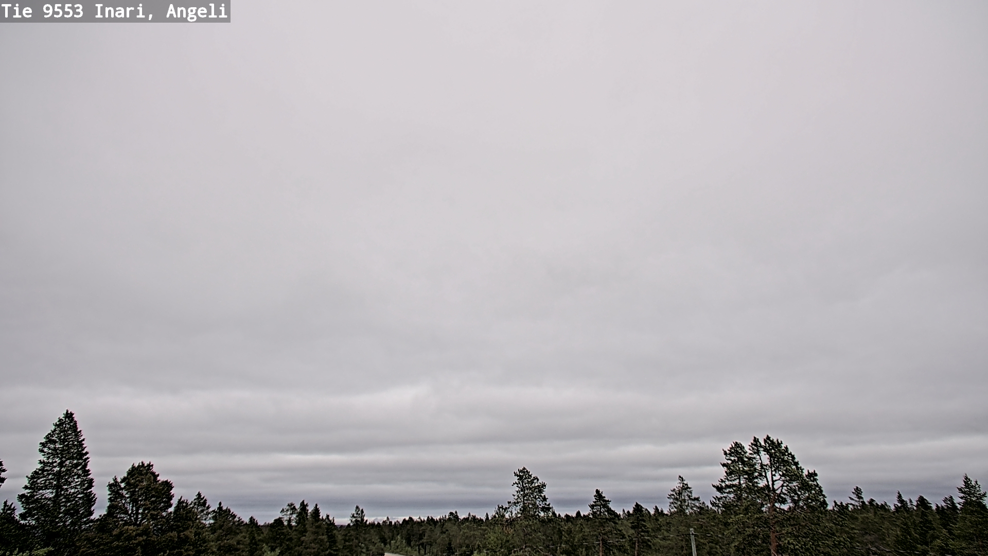 Weather Camera Image Road 9553 Inari, Angeli, Lintupuolivaara, Inari, Lappi