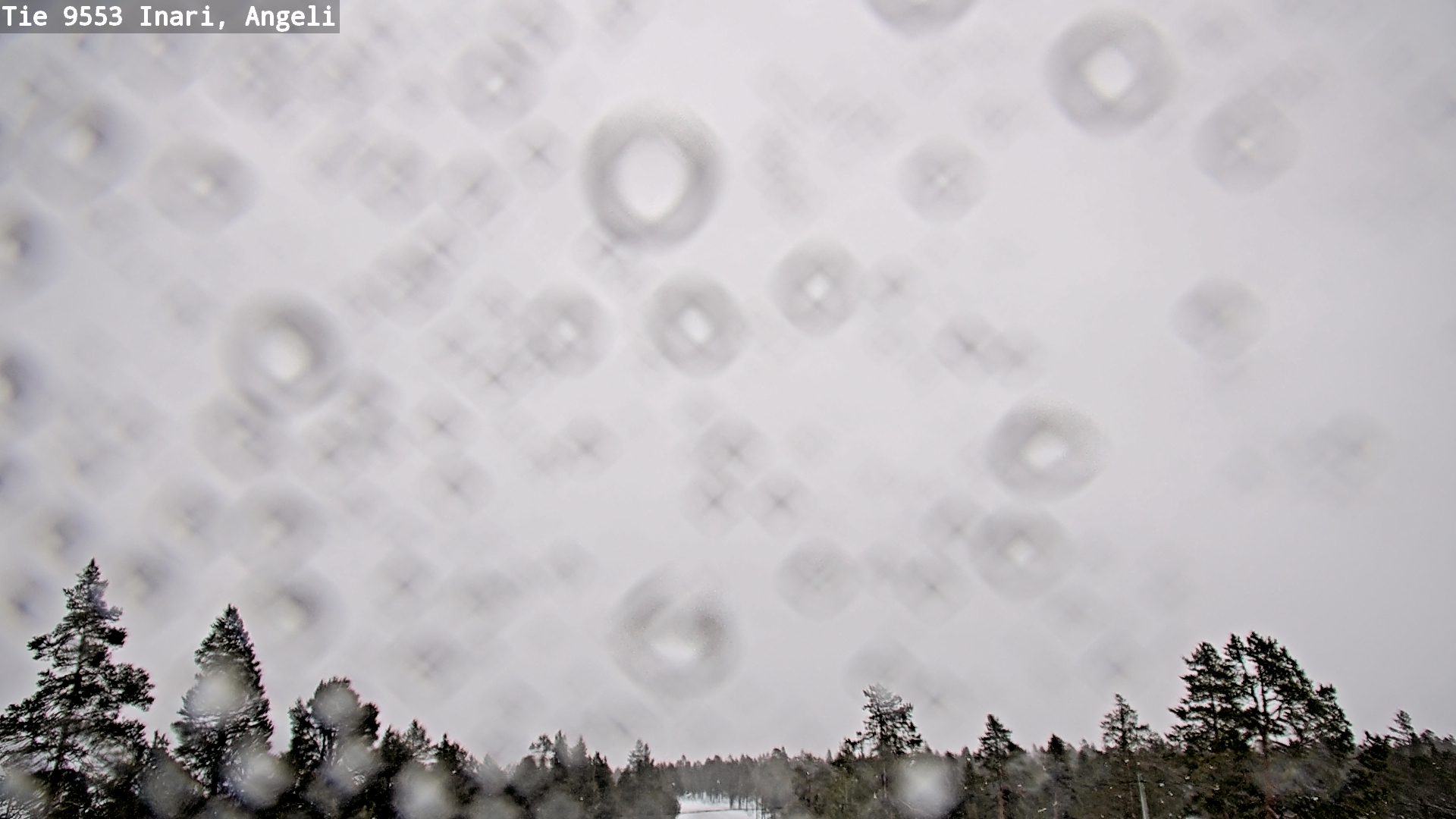 Kelikamerat Kuva Tie 9553 Inari, Angeli, Lintupuolivaara, Inari, Lappi