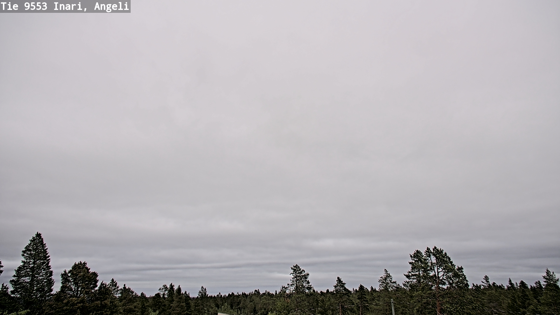 Weather Camera Image Road 9553 Inari, Angeli, Lintupuolivaara, Inari, Lappi