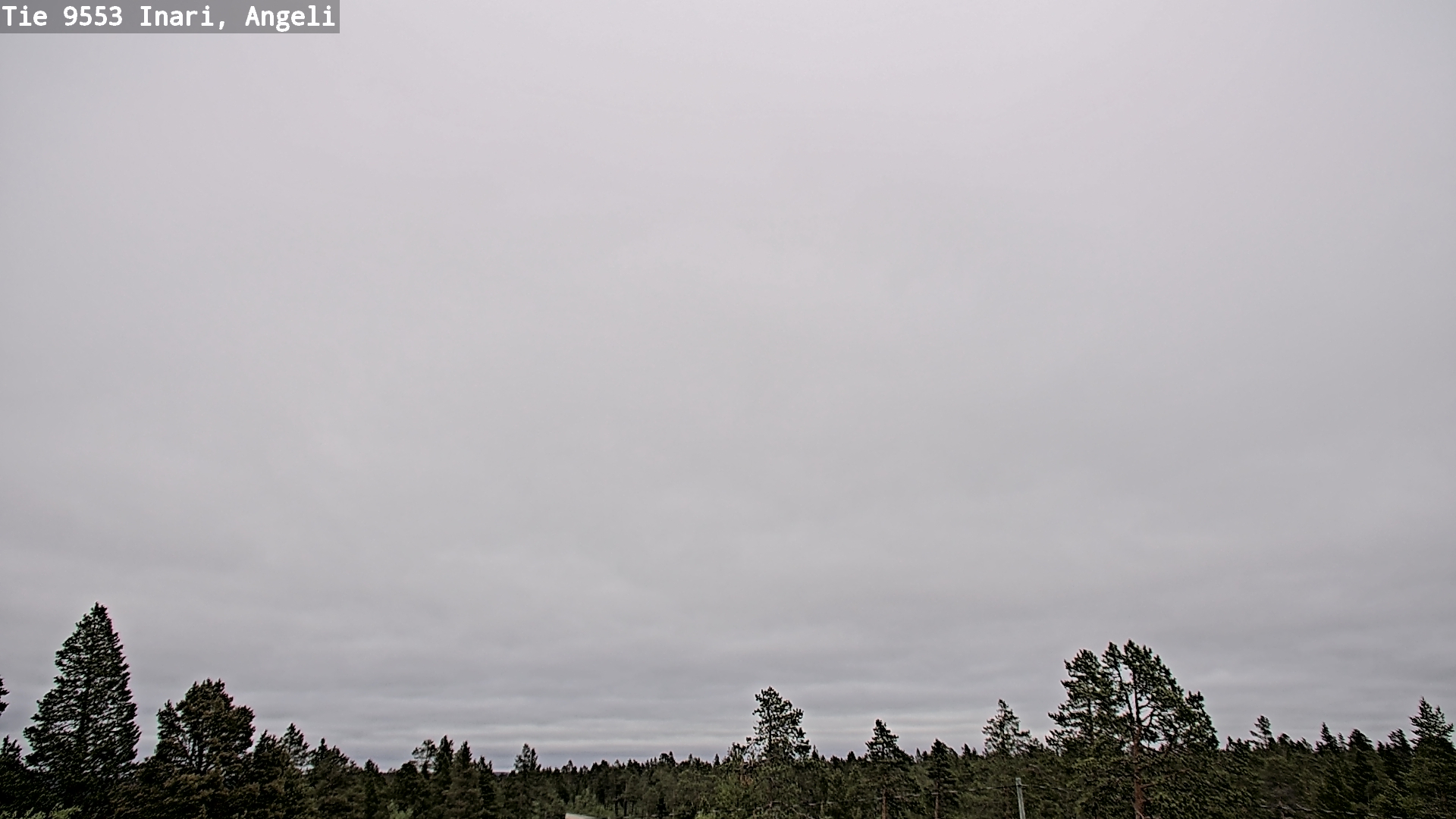 Weather Camera Image Road 9553 Inari, Angeli, Lintupuolivaara, Inari, Lappi