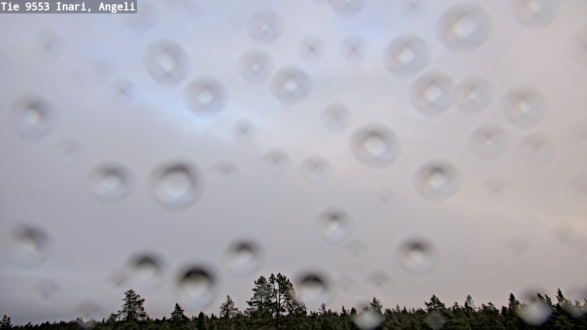 Kelikamerat Kuva Tie 9553 Inari, Angeli, Lintupuolivaara, Inari, Lappi