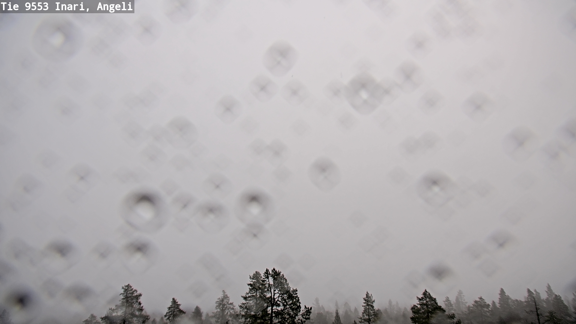 Kelikamerat Kuva Tie 9553 Inari, Angeli, Lintupuolivaara, Inari, Lappi