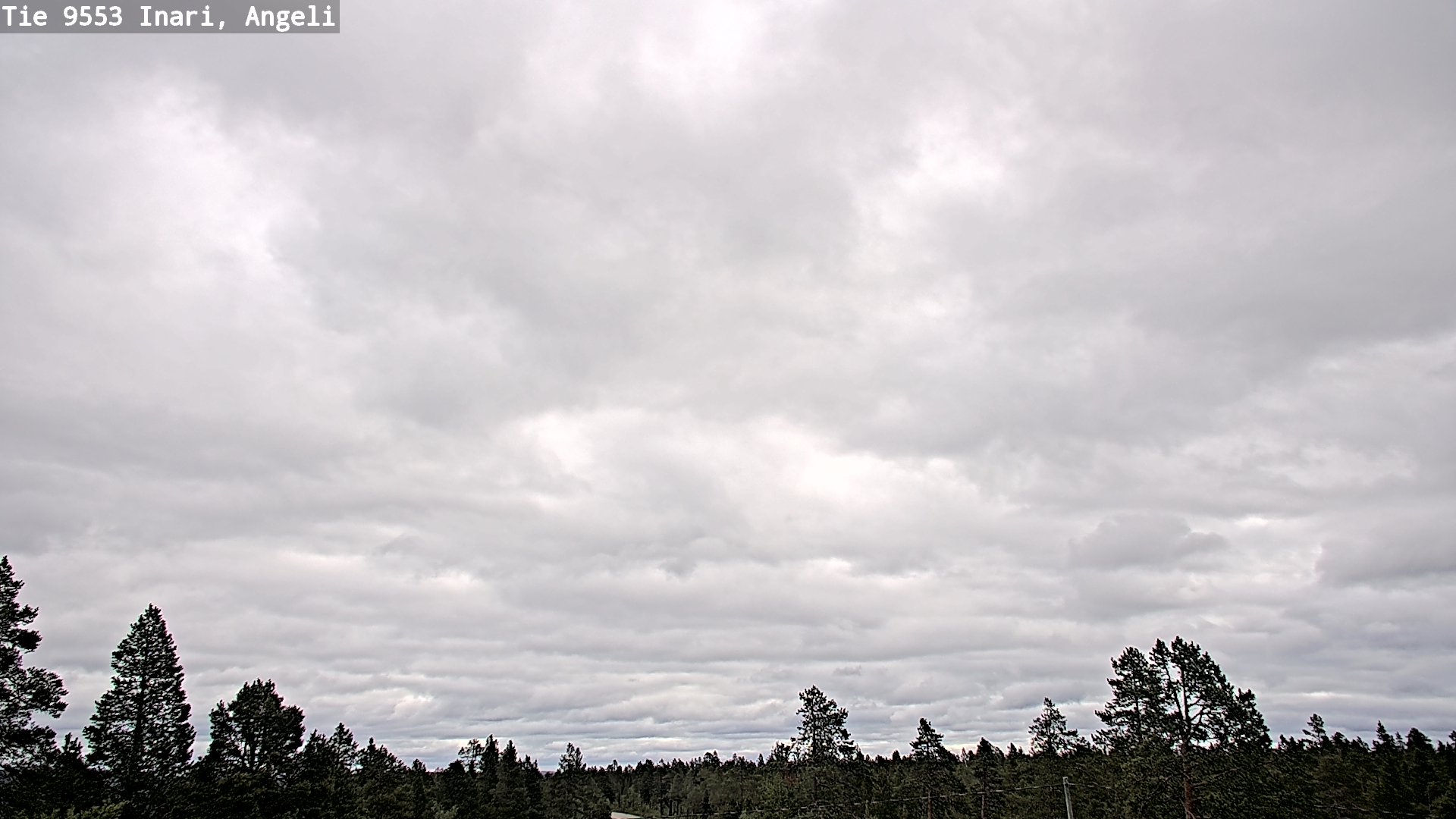 Kelikamerat Kuva Tie 9553 Inari, Angeli, Lintupuolivaara, Inari, Lappi