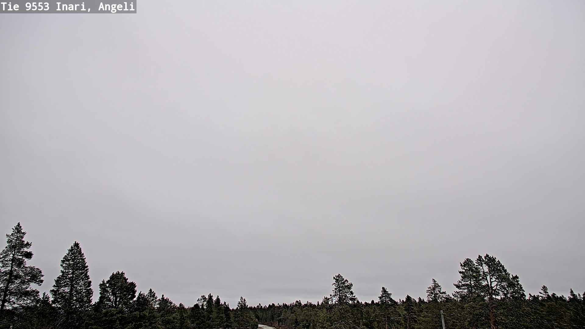 Kelikamerat Kuva Tie 9553 Inari, Angeli, Lintupuolivaara, Inari, Lappi