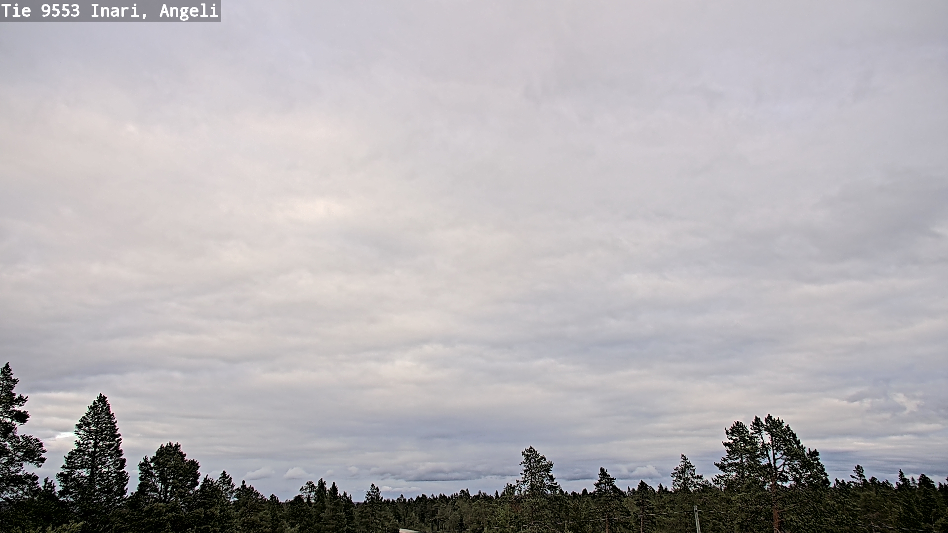 Kelikamerat Kuva Tie 9553 Inari, Angeli, Lintupuolivaara, Inari, Lappi