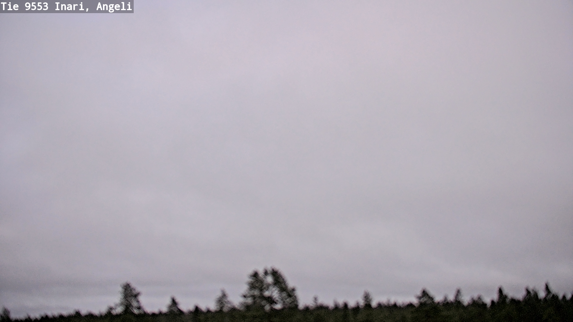 Kelikamerat Kuva Tie 9553 Inari, Angeli, Lintupuolivaara, Inari, Lappi