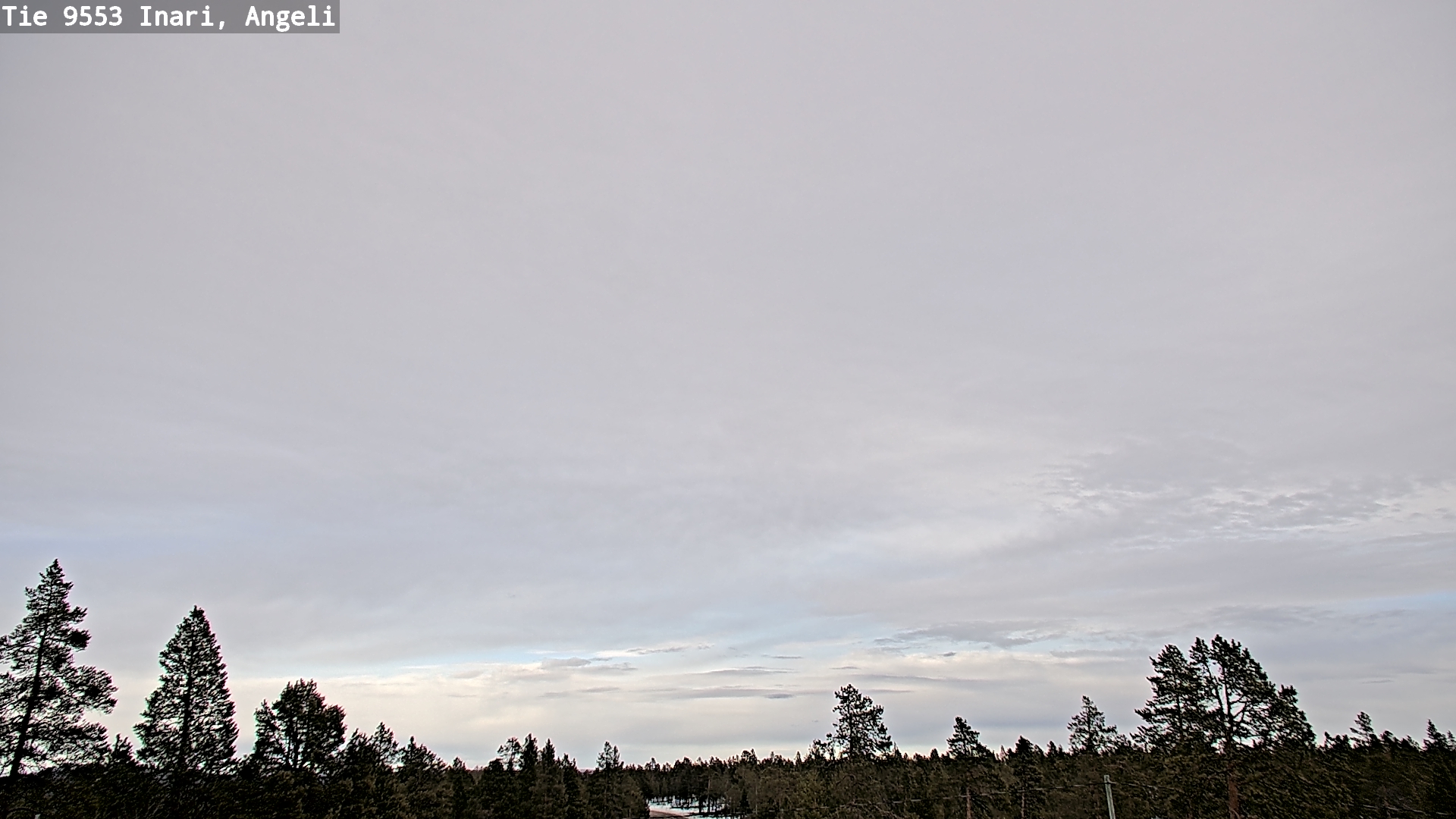 Weather Camera Image Road 9553 Inari, Angeli, Lintupuolivaara, Inari, Lappi