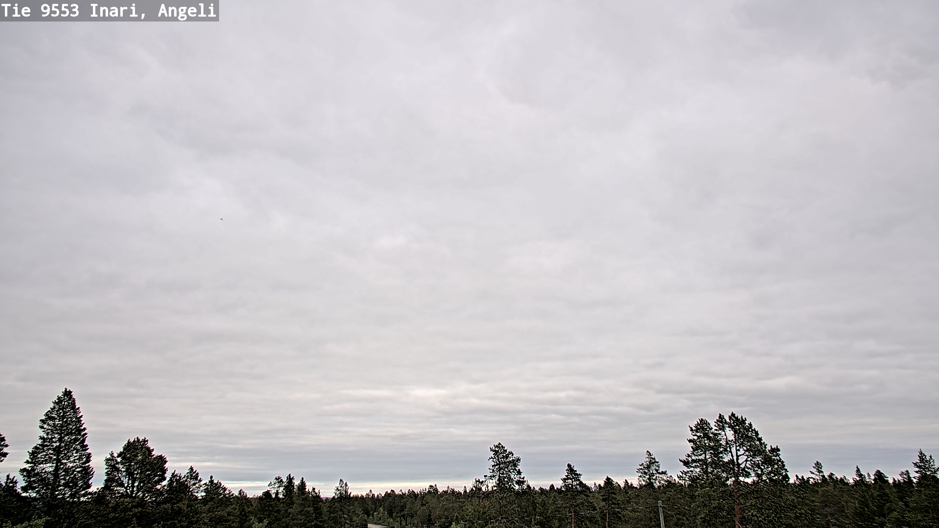 Kelikamerat Kuva Tie 9553 Inari, Angeli, Lintupuolivaara, Inari, Lappi