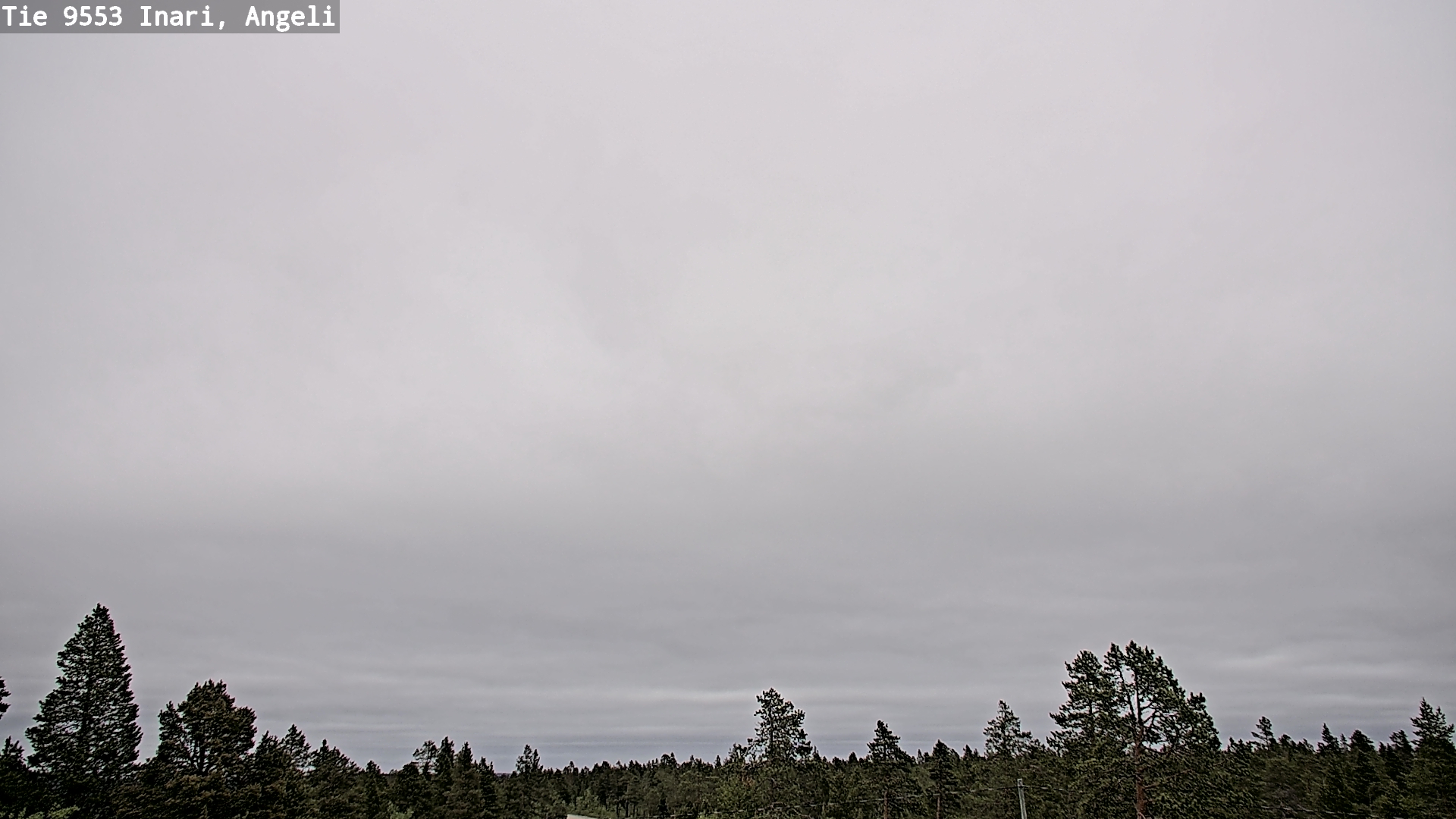 Weather Camera Image Road 9553 Inari, Angeli, Lintupuolivaara, Inari, Lappi