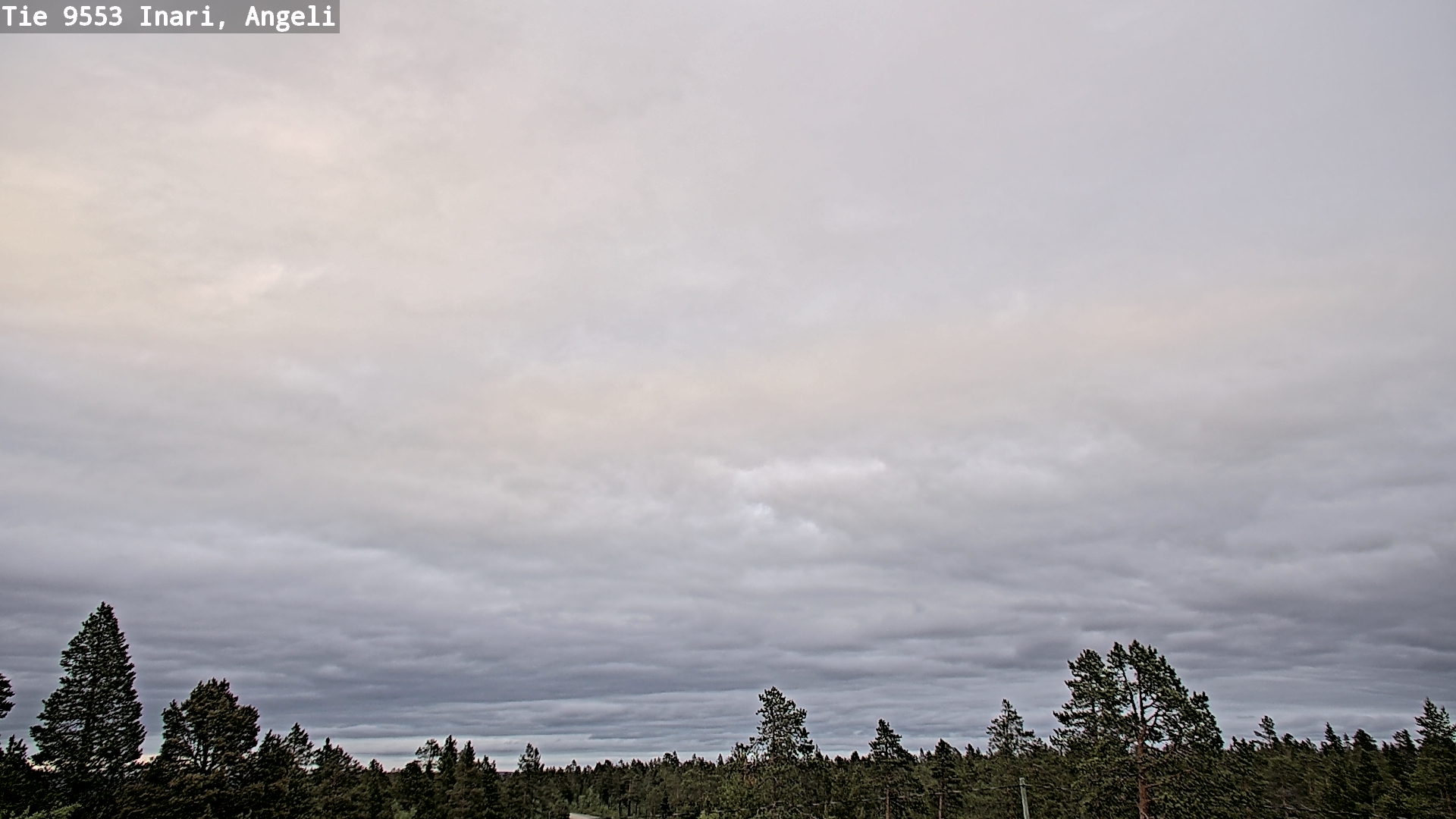 Kelikamerat Kuva Tie 9553 Inari, Angeli, Lintupuolivaara, Inari, Lappi