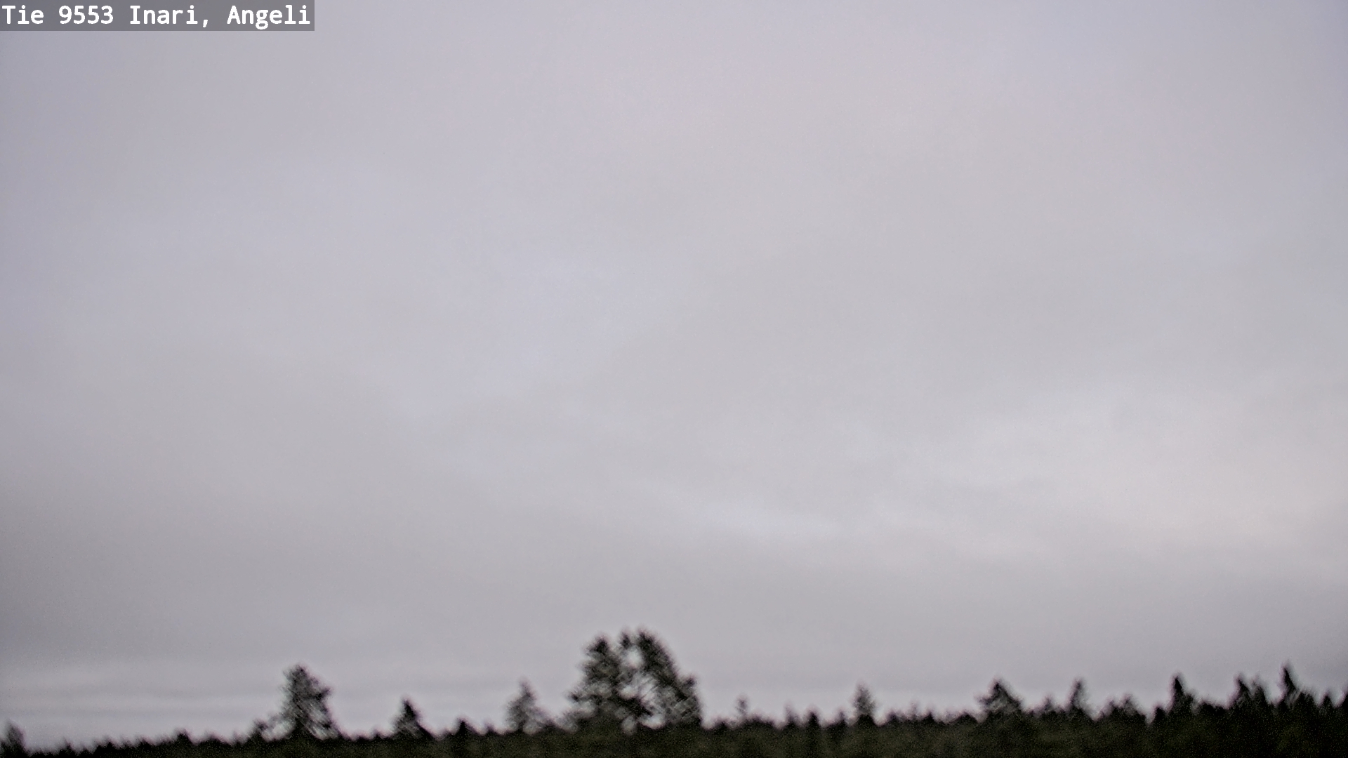 Kelikamerat Kuva Tie 9553 Inari, Angeli, Lintupuolivaara, Inari, Lappi