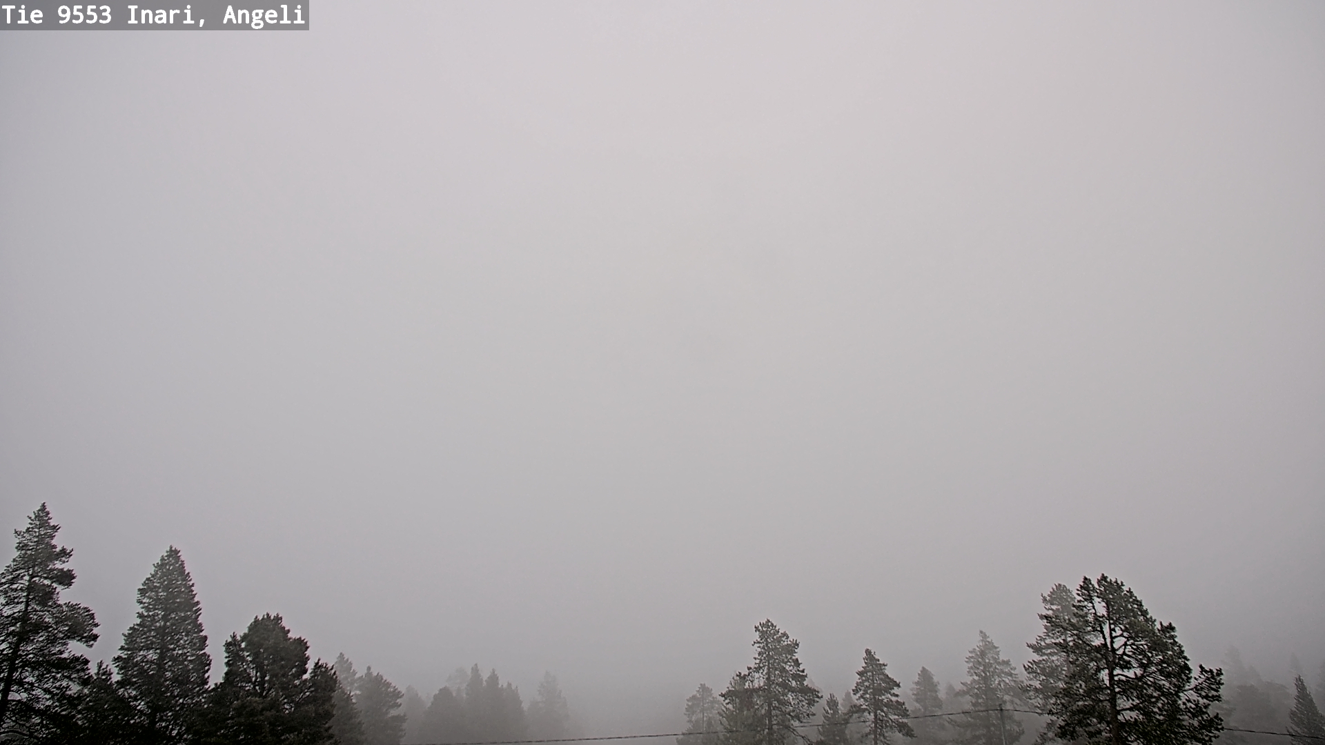 Weather Camera Image Väg 9553 Inari, Angeli, Lintupuolivaara, Inari, Lappi