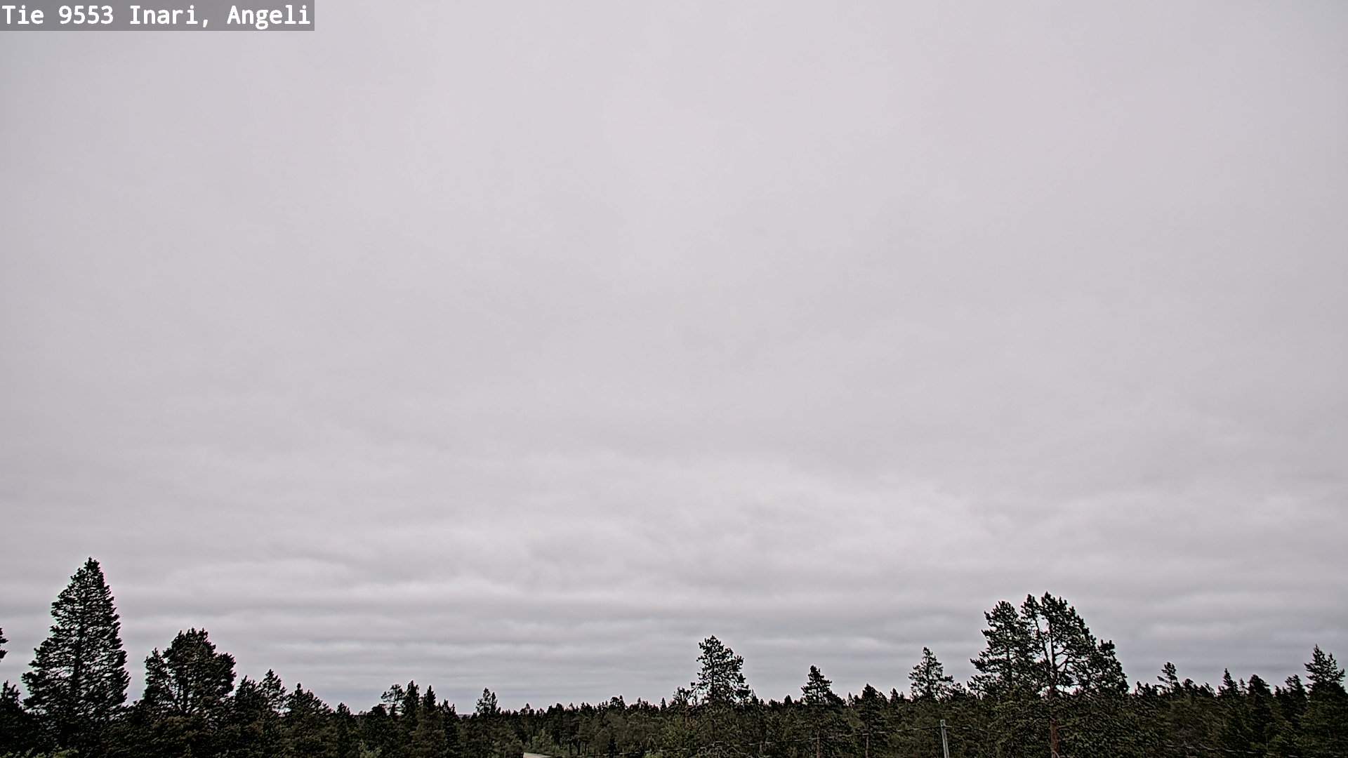 Weather Camera Image Road 9553 Inari, Angeli, Lintupuolivaara, Inari, Lappi