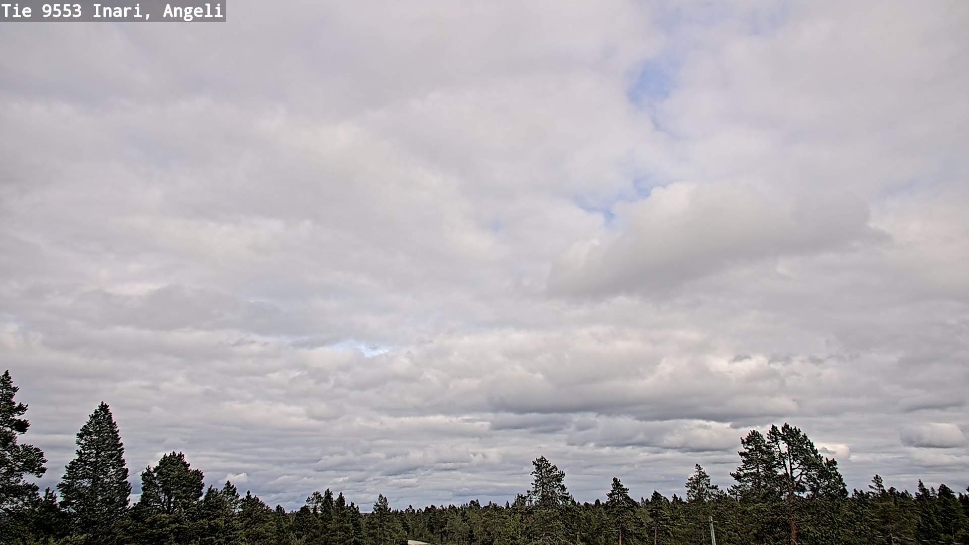 Kelikamerat Kuva Tie 9553 Inari, Angeli, Lintupuolivaara, Inari, Lappi