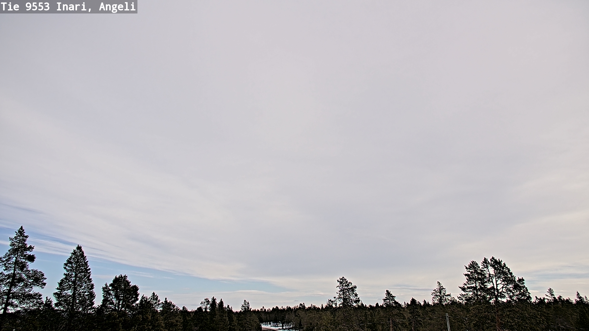 Weather Camera Image Road 9553 Inari, Angeli, Lintupuolivaara, Inari, Lappi