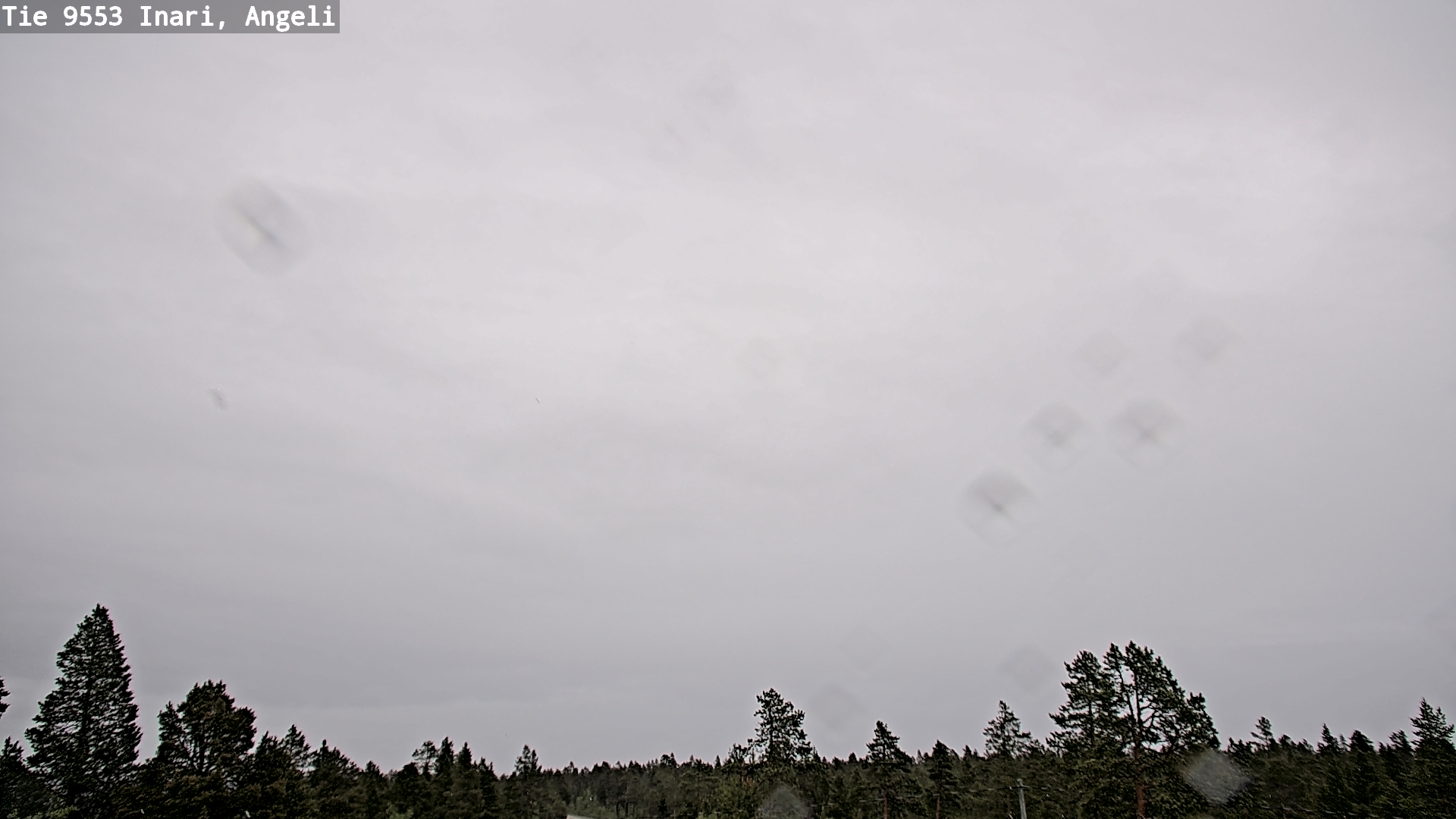 Weather Camera Image Road 9553 Inari, Angeli, Lintupuolivaara, Inari, Lappi