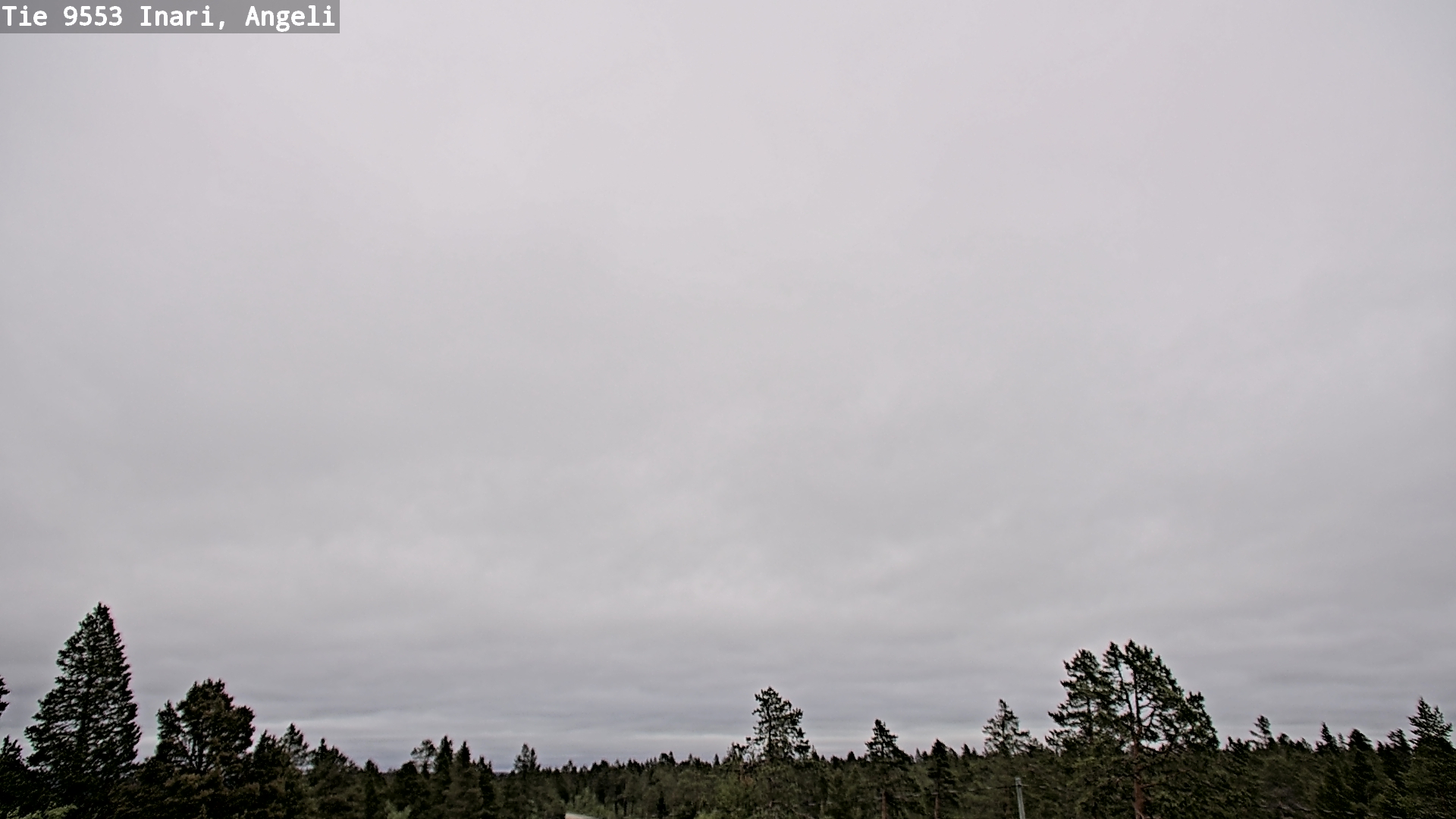 Weather Camera Image Road 9553 Inari, Angeli, Lintupuolivaara, Inari, Lappi