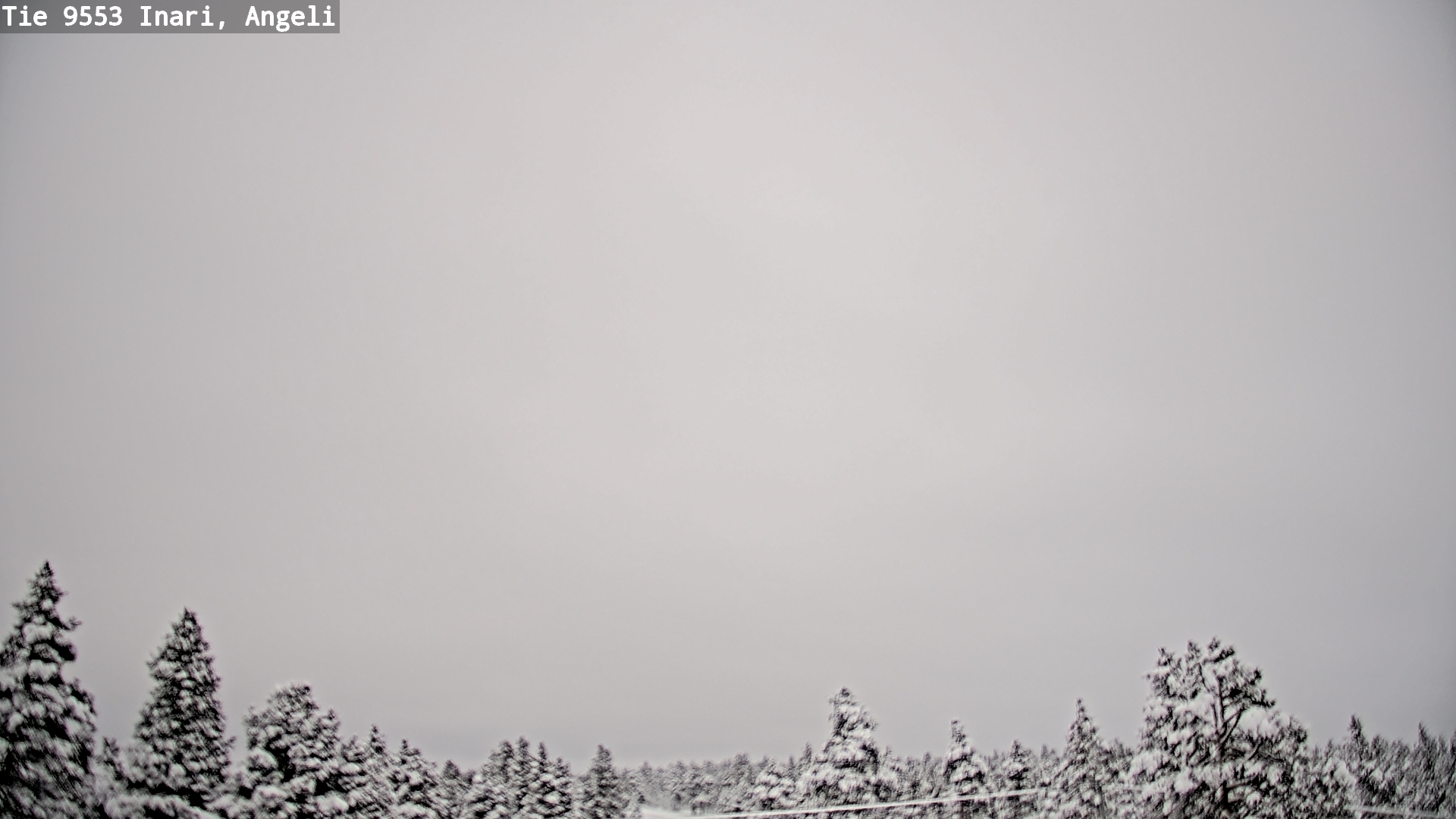 Kelikamerat Kuva Tie 9553 Inari, Angeli, Lintupuolivaara, Inari, Lappi