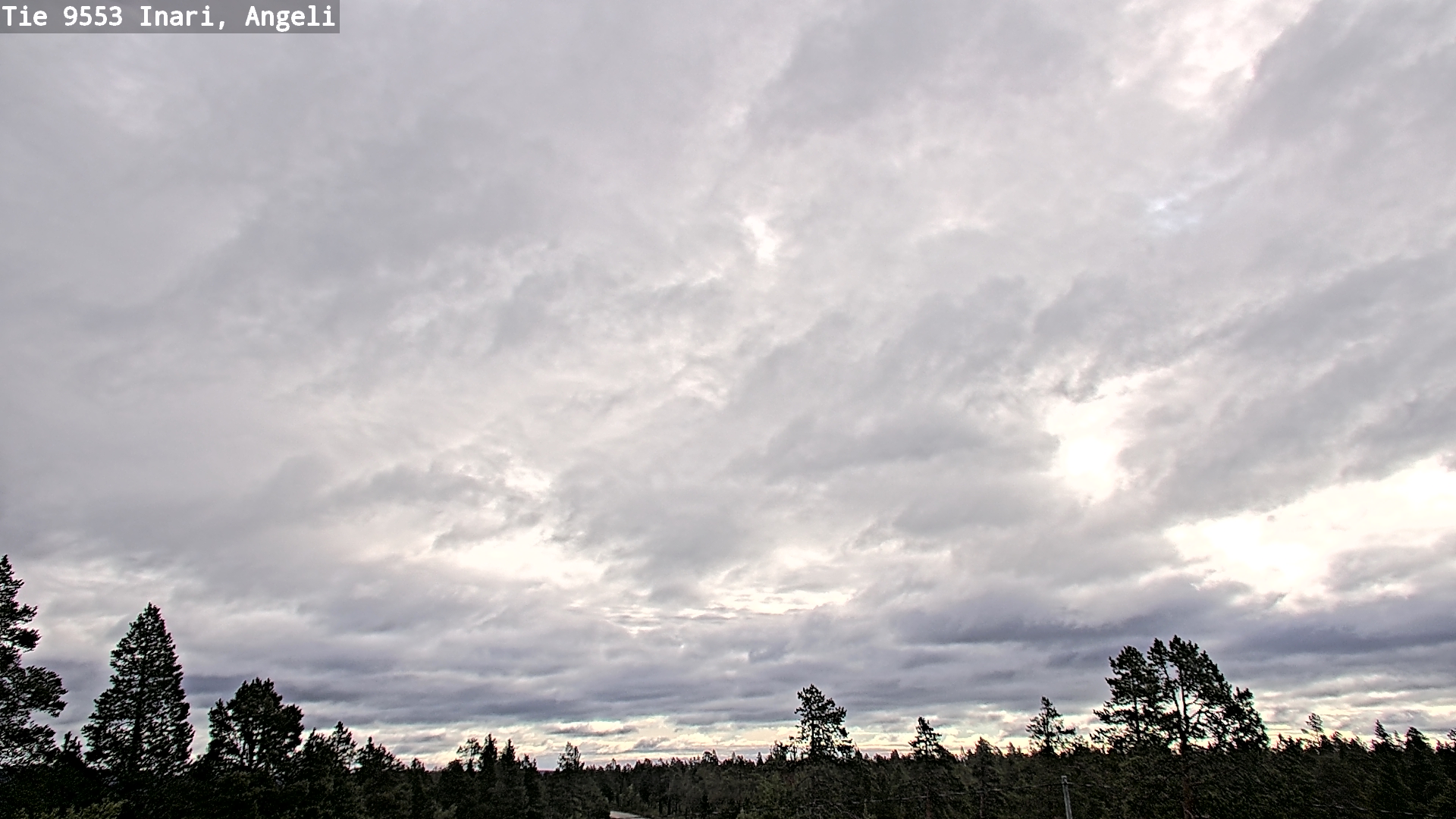 Weather Camera Image Road 9553 Inari, Angeli, Lintupuolivaara, Inari, Lappi