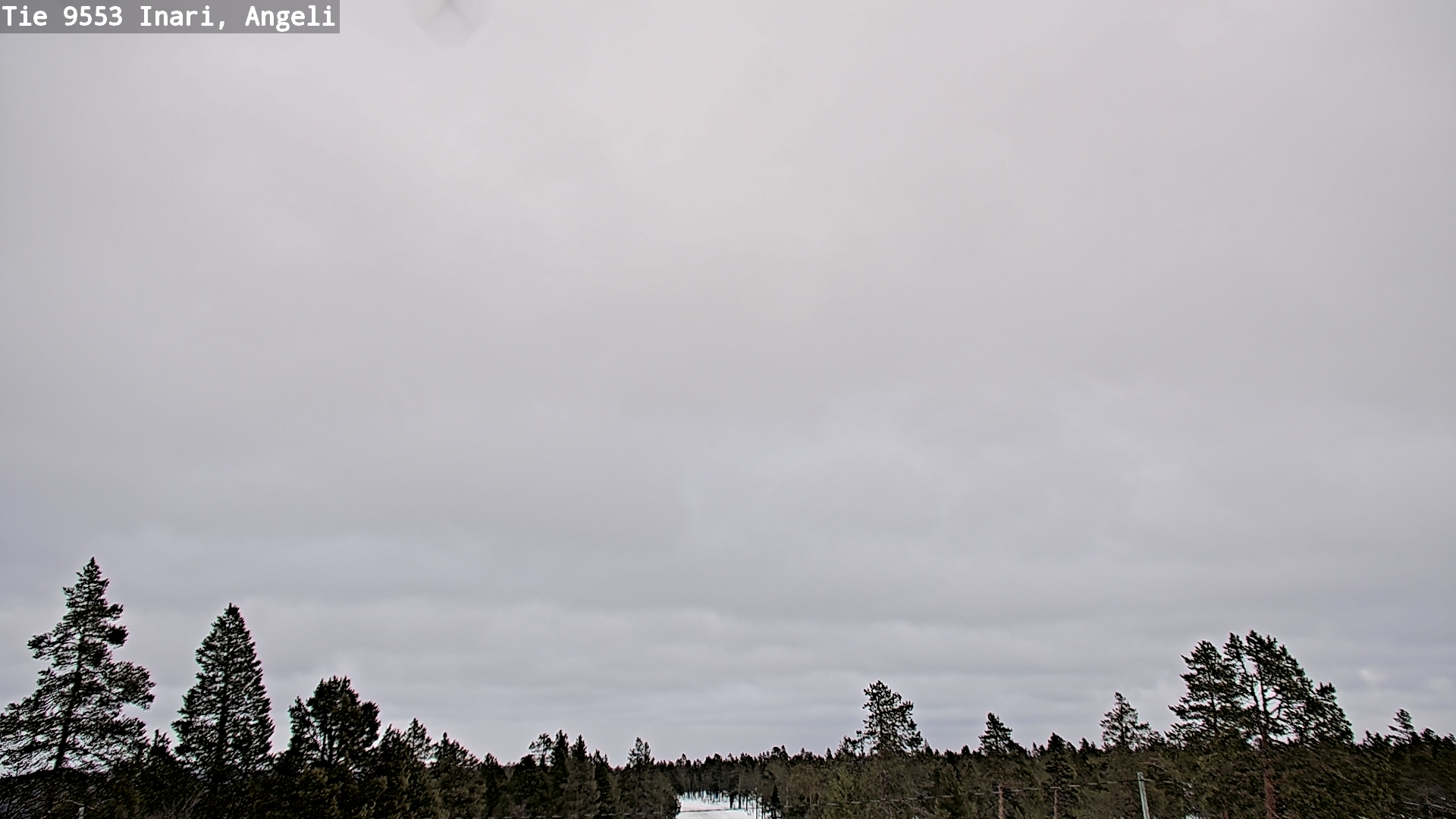 Kelikamerat Kuva Tie 9553 Inari, Angeli, Lintupuolivaara, Inari, Lappi