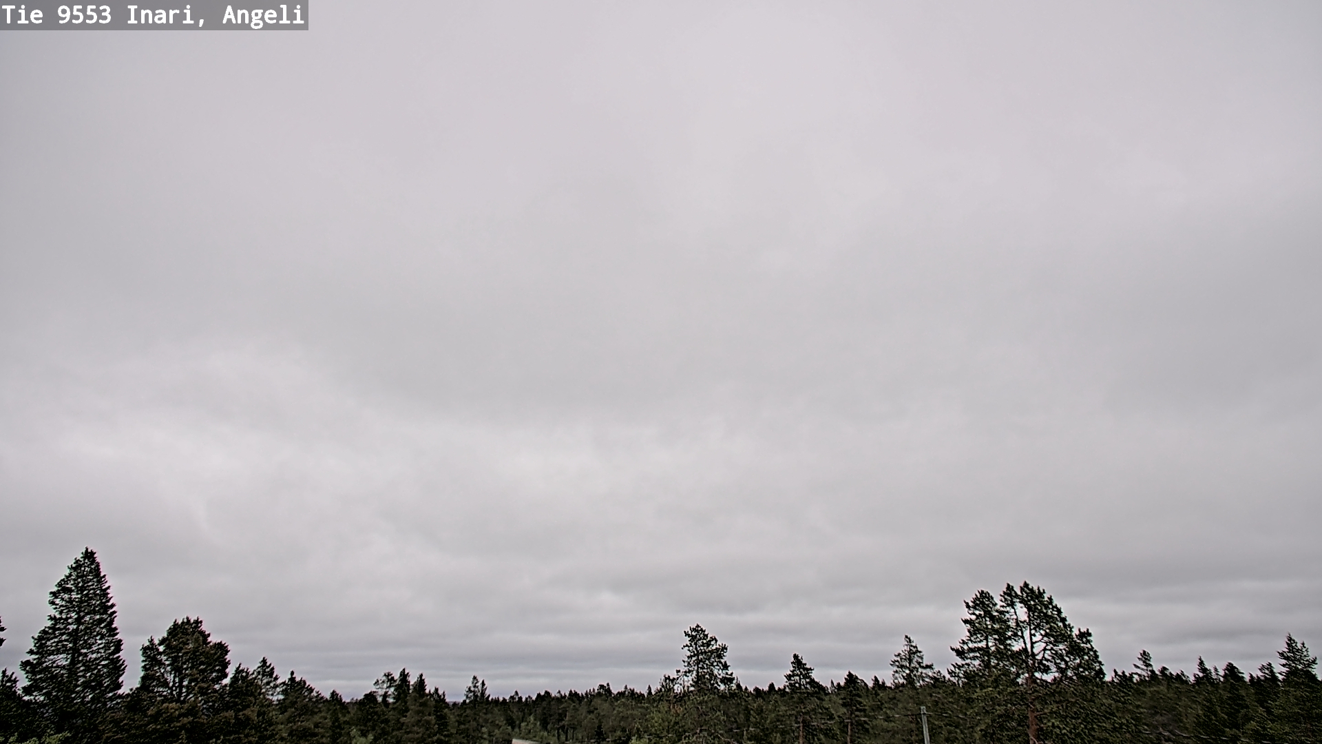Weather Camera Image Road 9553 Inari, Angeli, Lintupuolivaara, Inari, Lappi