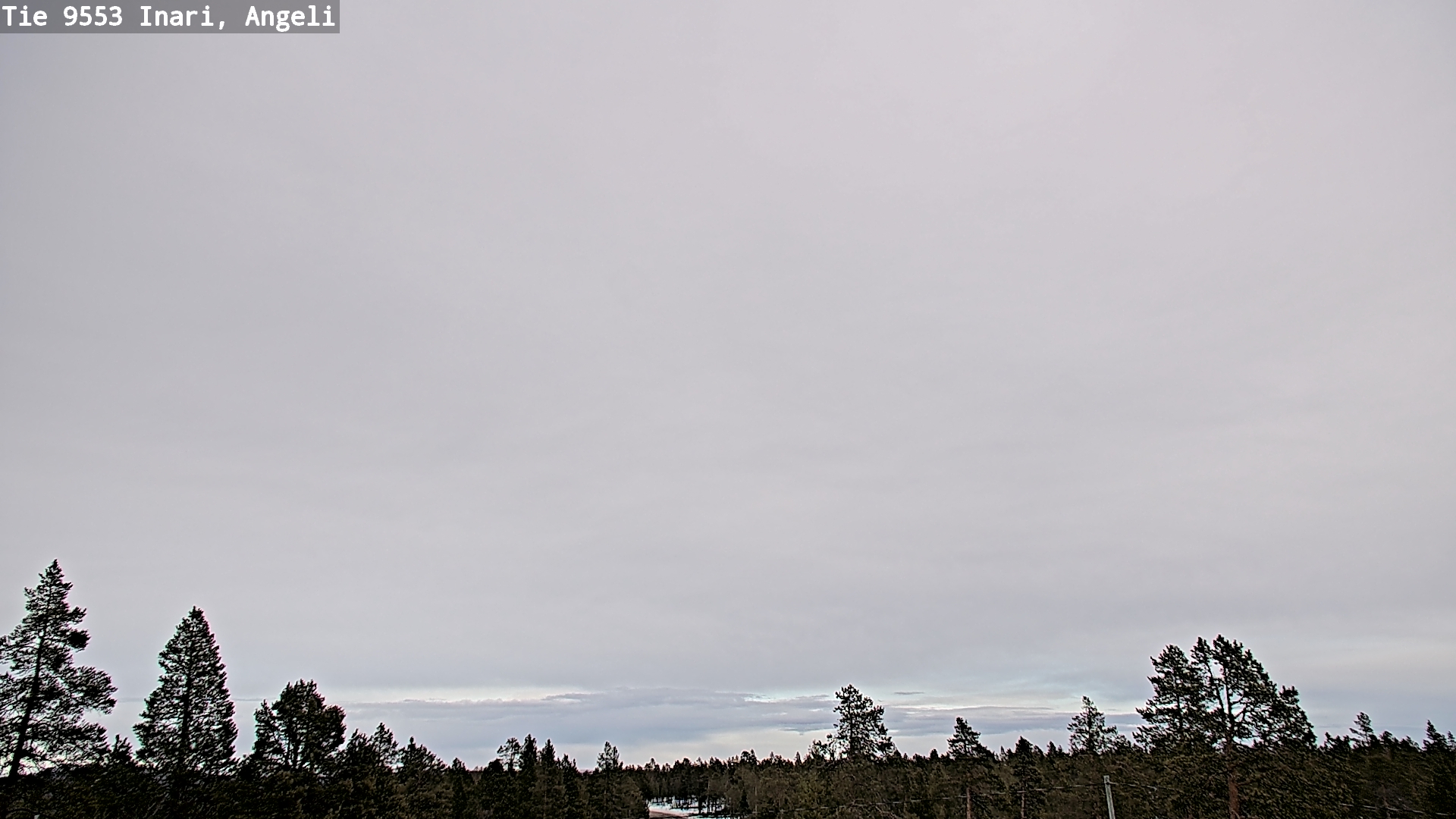 Weather Camera Image Road 9553 Inari, Angeli, Lintupuolivaara, Inari, Lappi