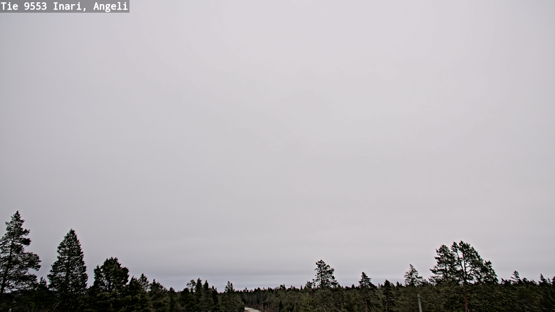 Kelikamerat Kuva Tie 9553 Inari, Angeli, Lintupuolivaara, Inari, Lappi