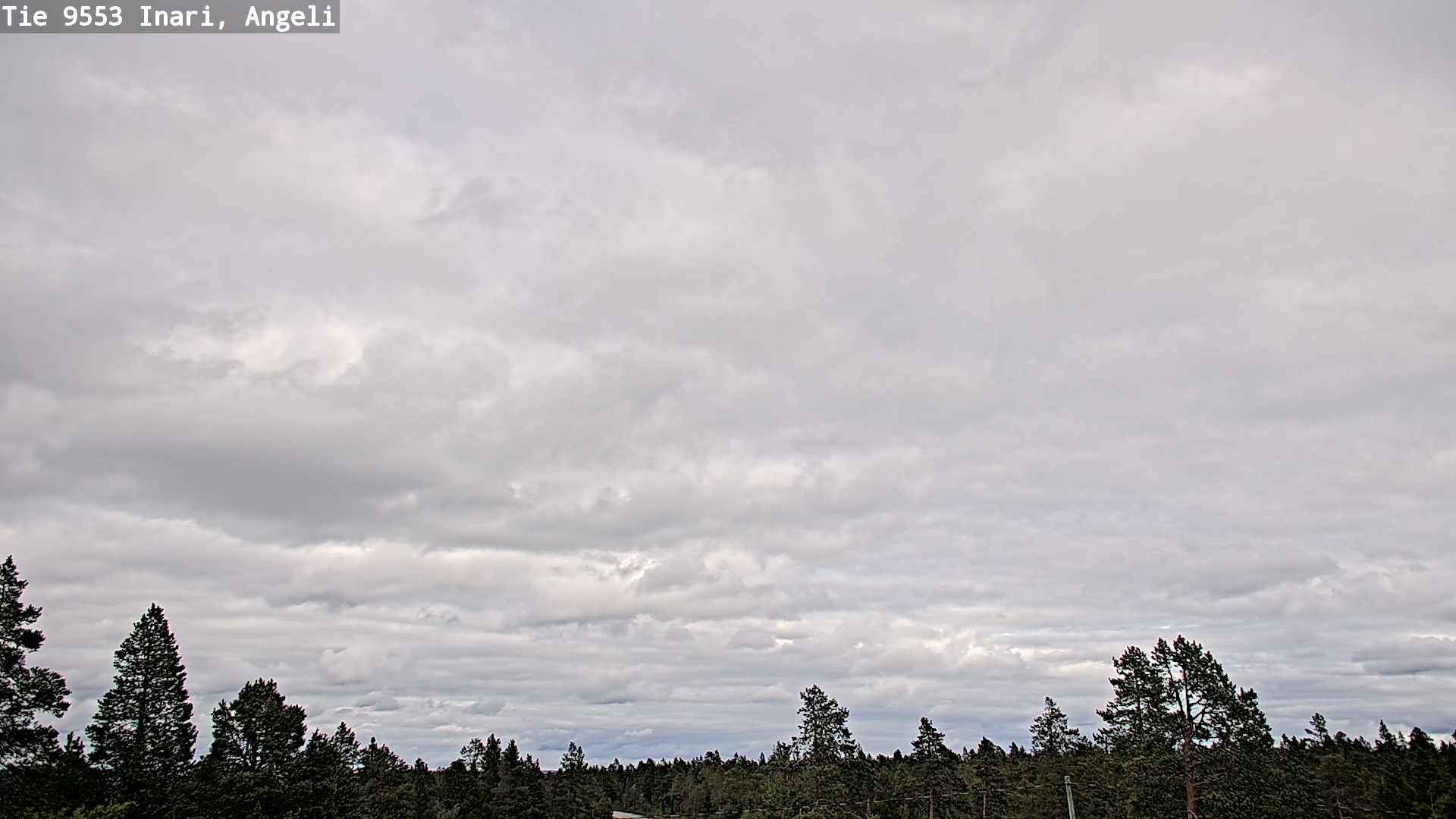 Kelikamerat Kuva Tie 9553 Inari, Angeli, Lintupuolivaara, Inari, Lappi