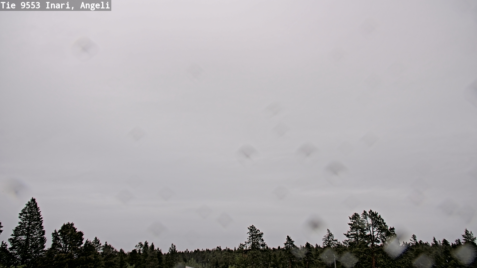 Weather Camera Image Road 9553 Inari, Angeli, Lintupuolivaara, Inari, Lappi