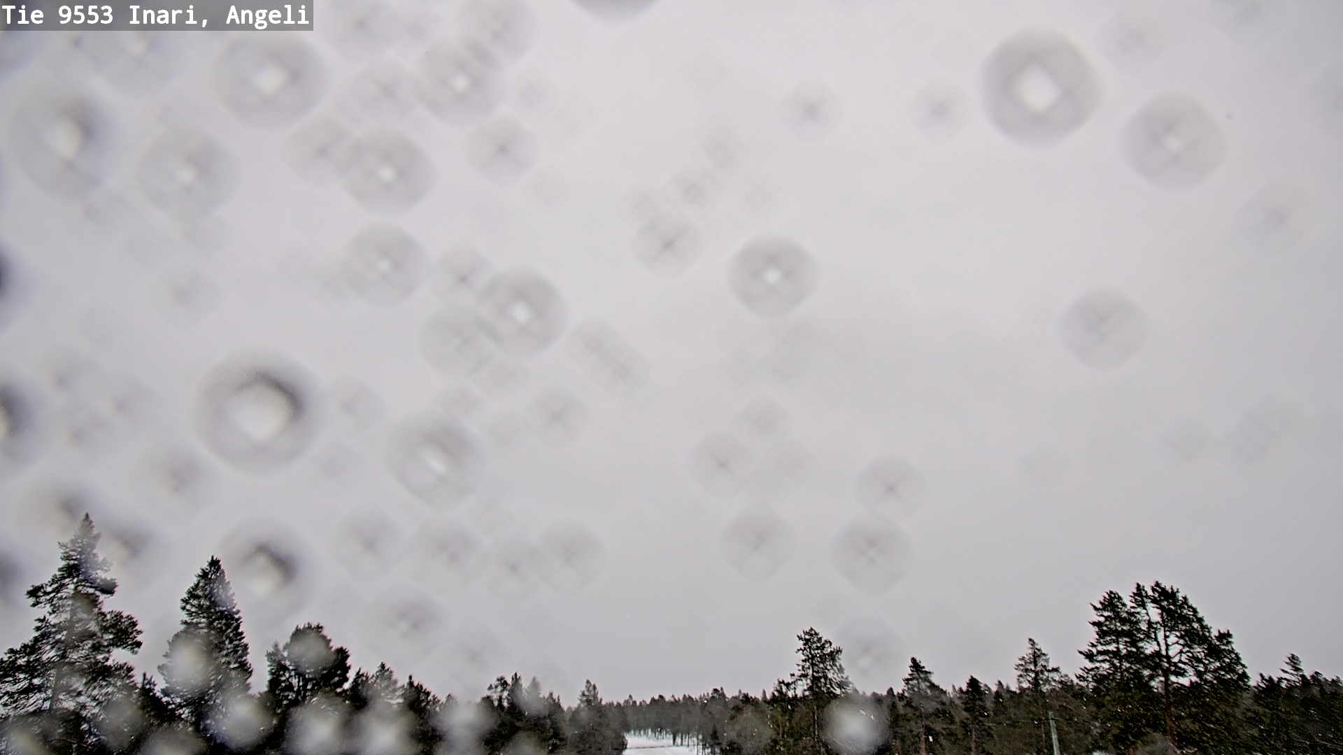 Kelikamerat Kuva Tie 9553 Inari, Angeli, Lintupuolivaara, Inari, Lappi