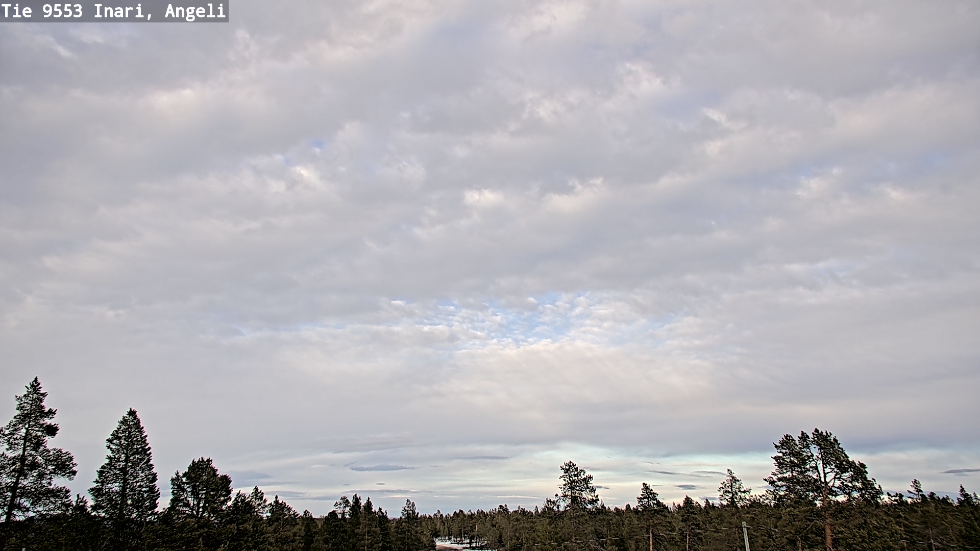 Weather Camera Image Road 9553 Inari, Angeli, Lintupuolivaara, Inari, Lappi