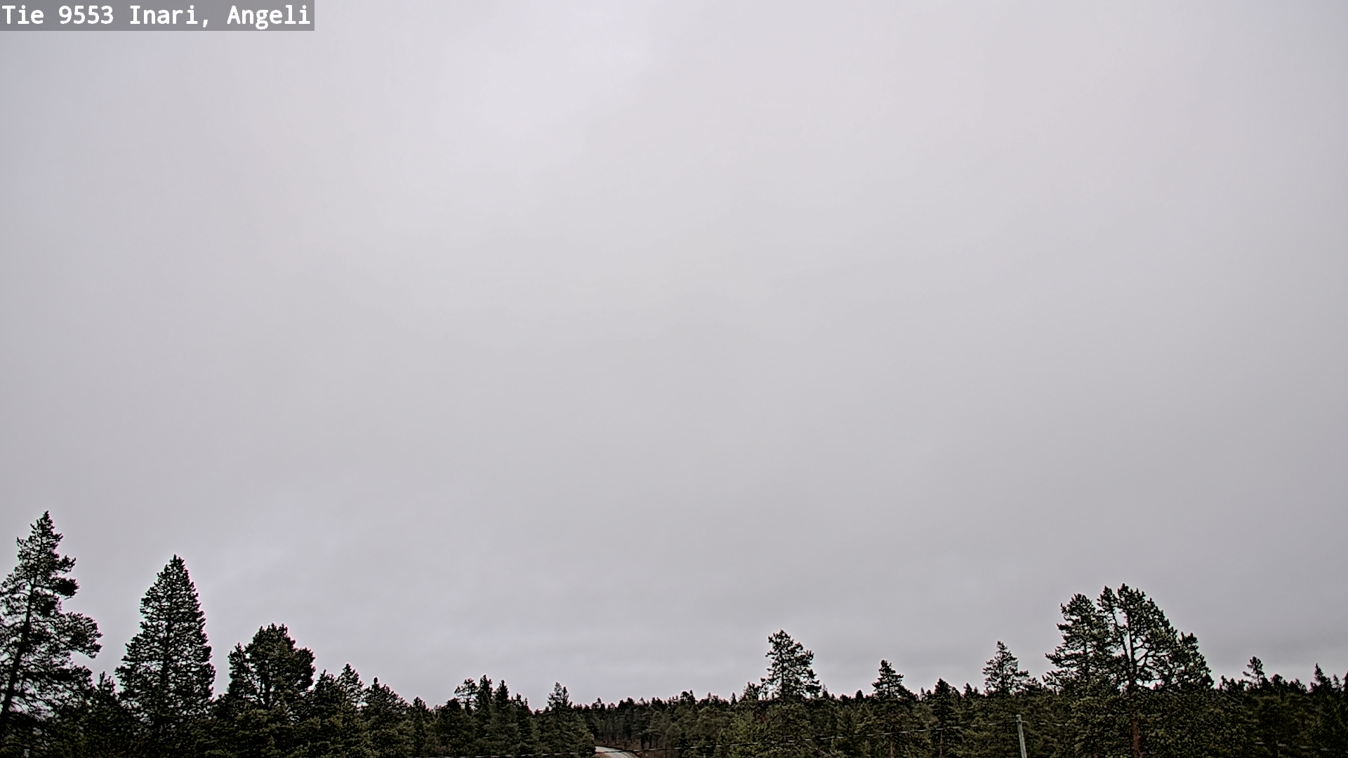Weather Camera Image Road 9553 Inari, Angeli, Lintupuolivaara, Inari, Lappi