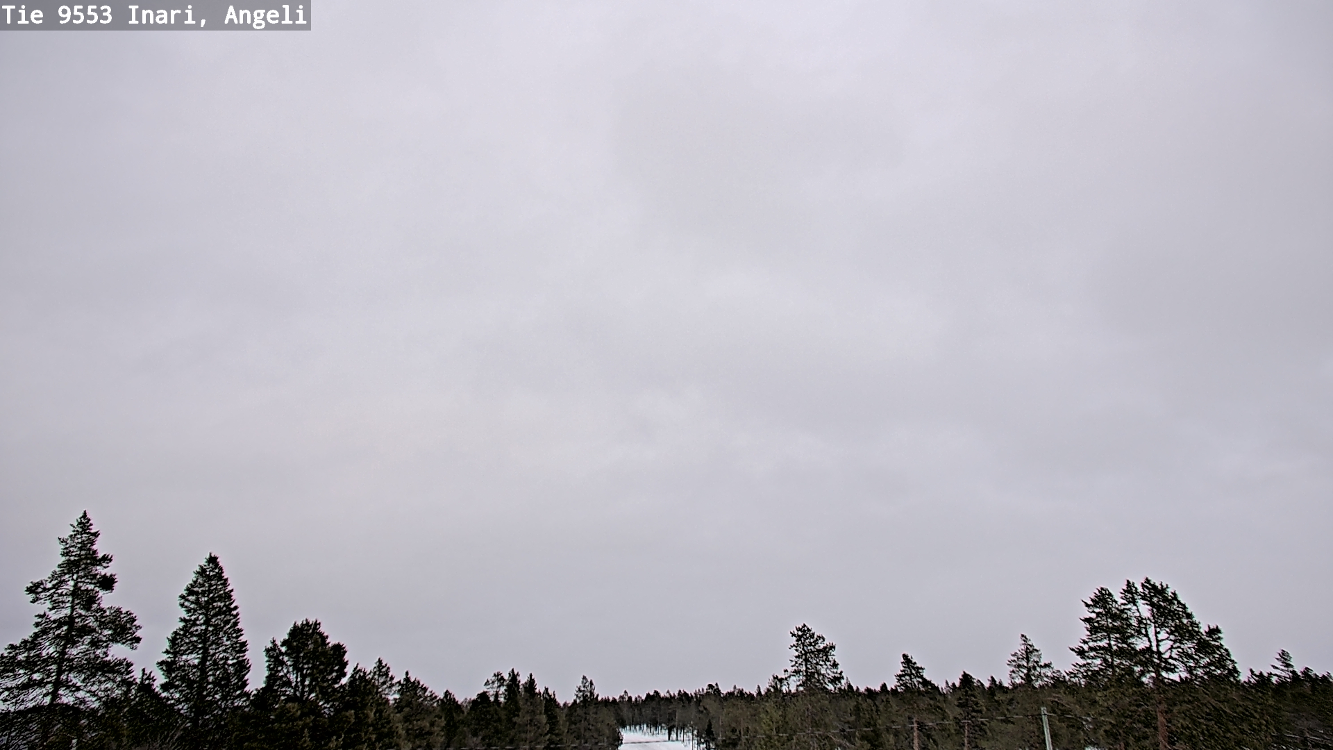 Weather Camera Image Road 9553 Inari, Angeli, Lintupuolivaara, Inari, Lappi