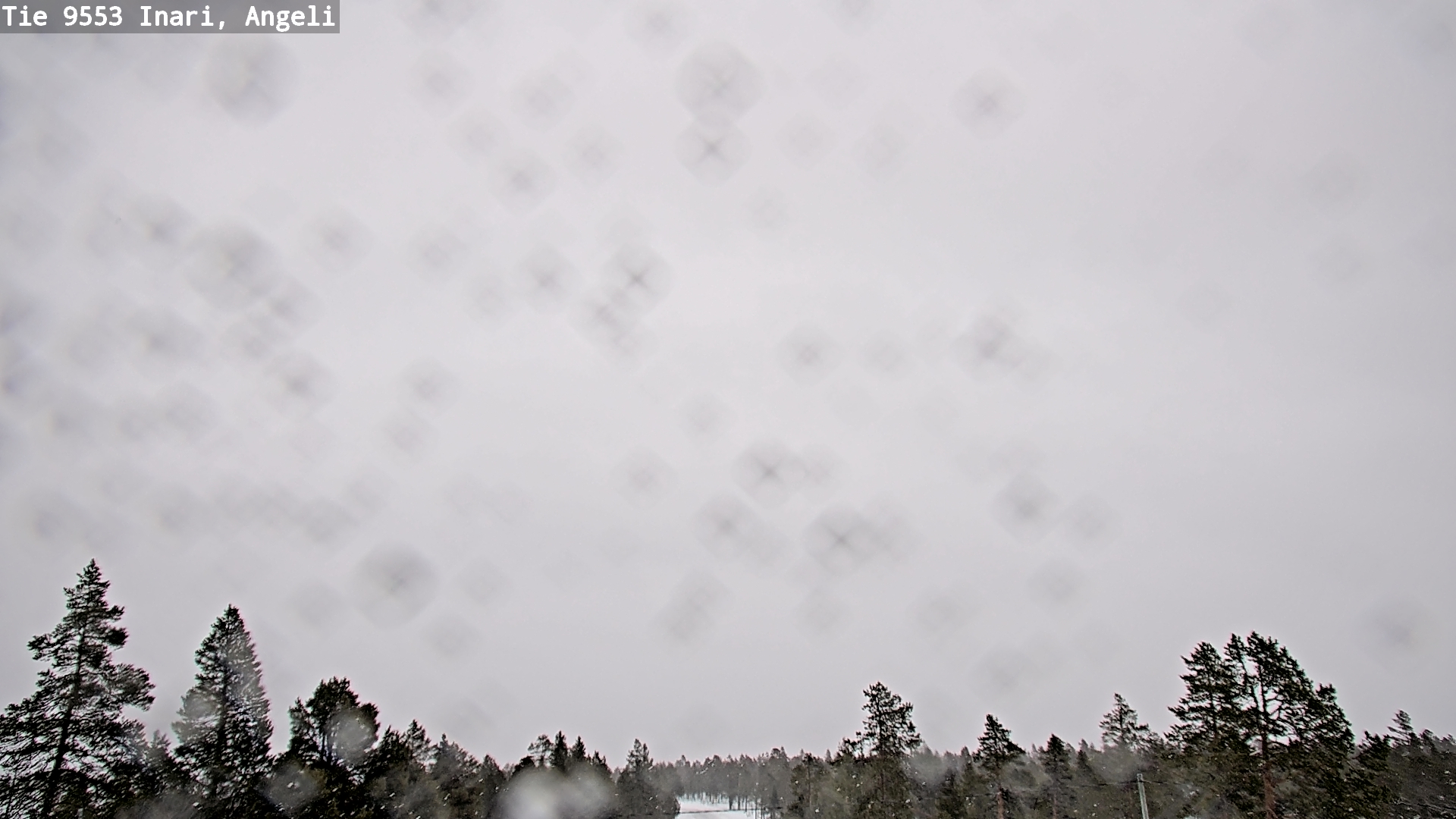 Kelikamerat Kuva Tie 9553 Inari, Angeli, Lintupuolivaara, Inari, Lappi